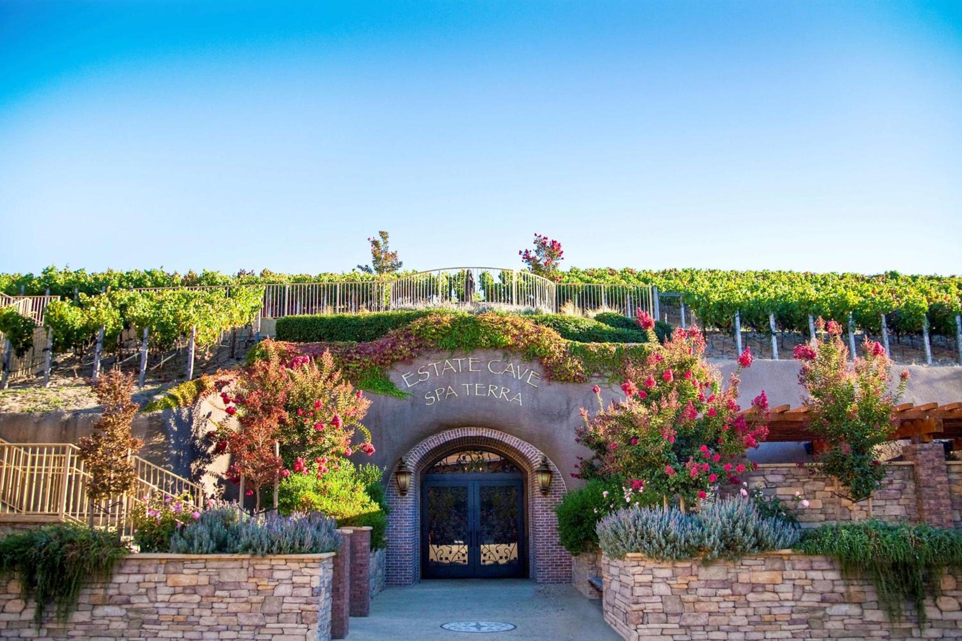 The Meritage Resort and Spa photo 5