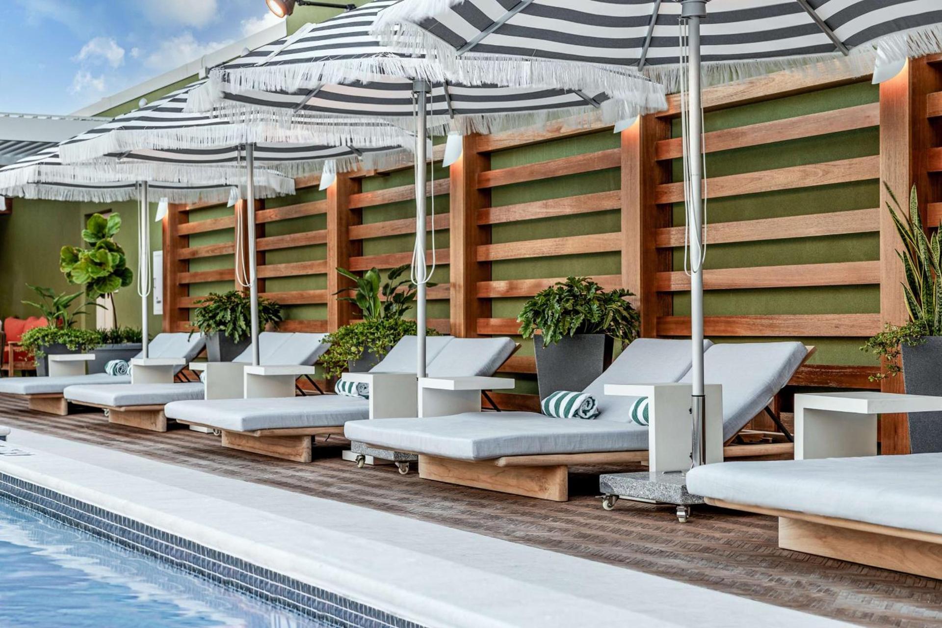 The Hiatus Clearwater Beach, Curio Collection By Hilton photo 19