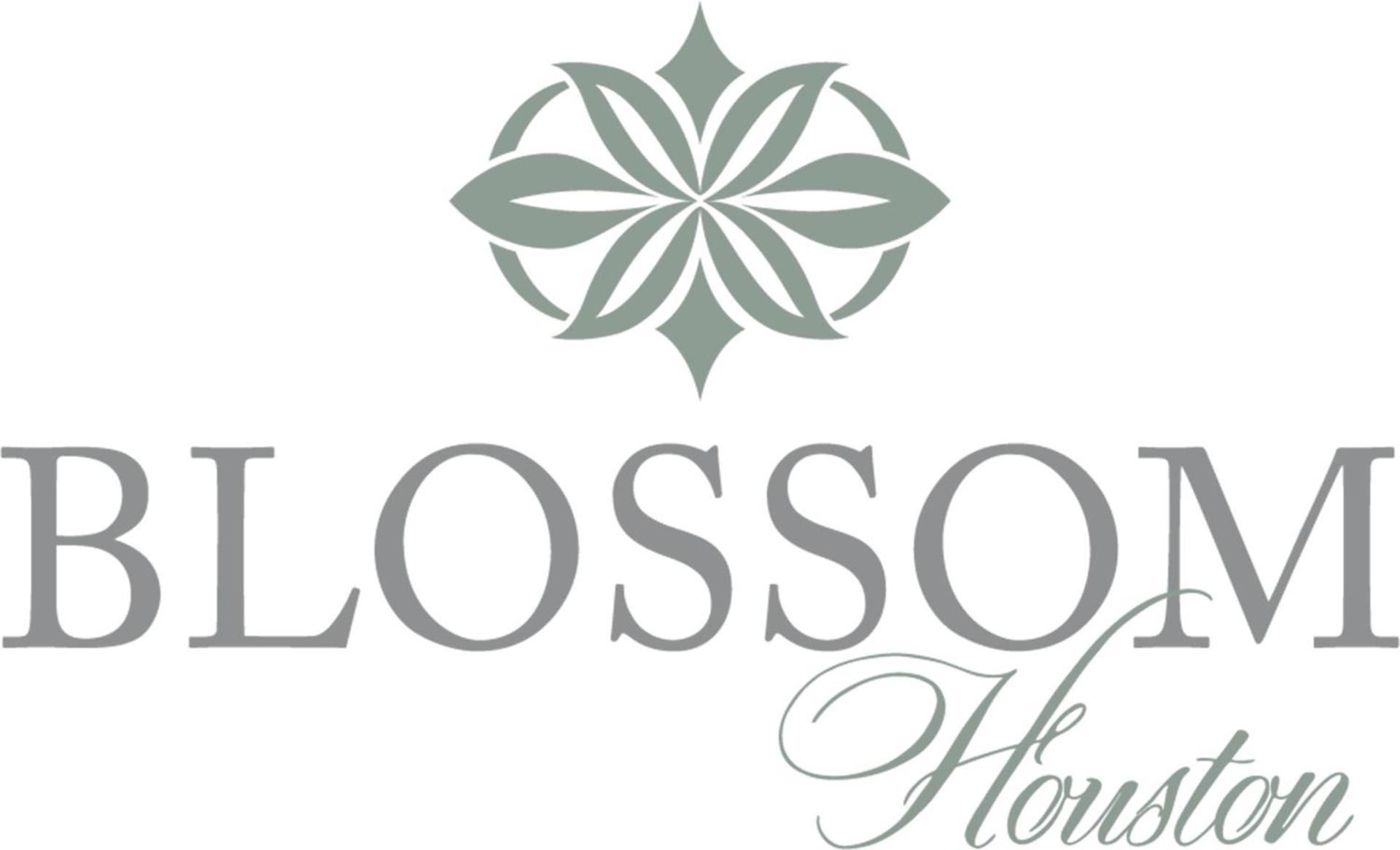 Blossom Hotel Houston, Curio Collection by Hilton photo 48