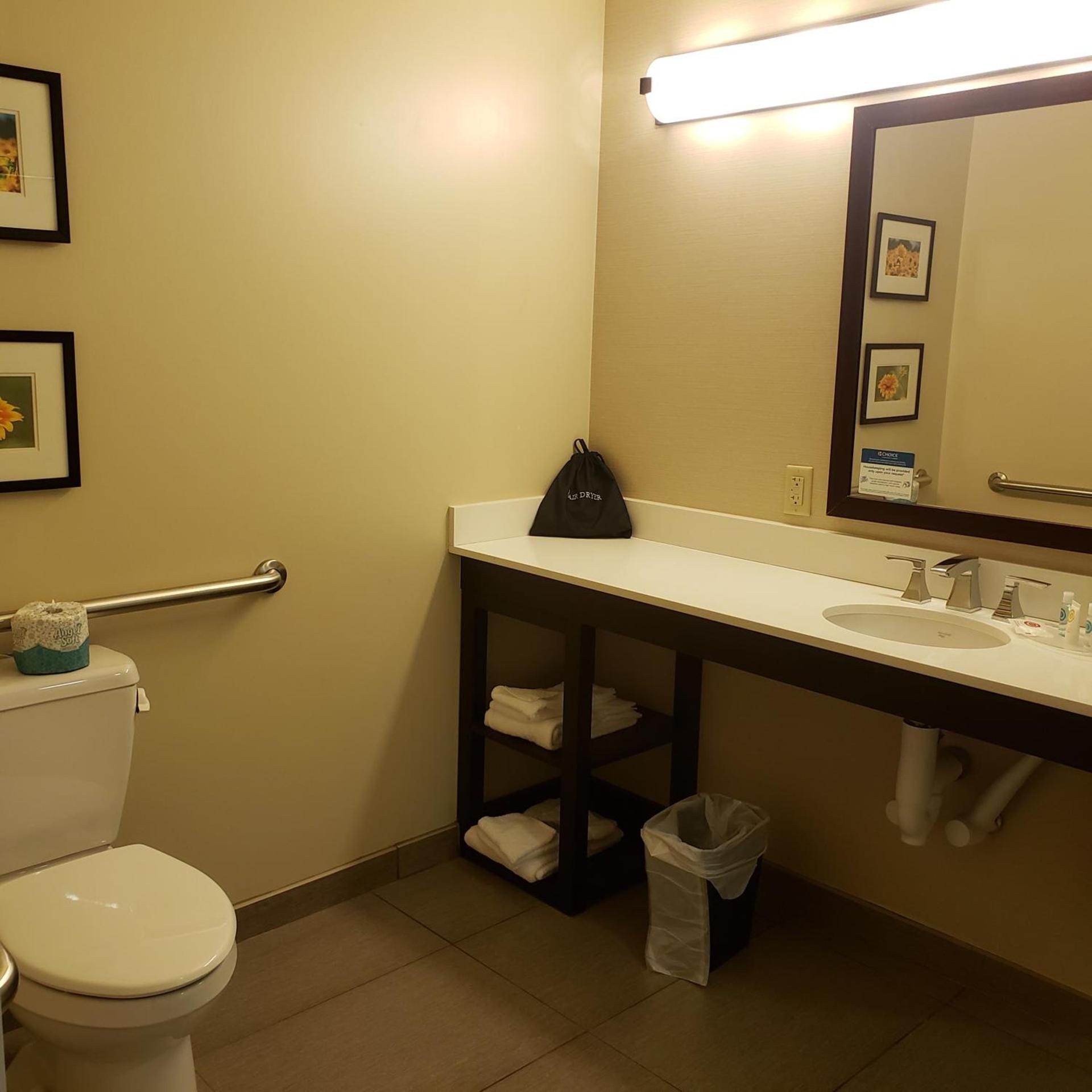 Comfort Suites-Youngstown North photo 55