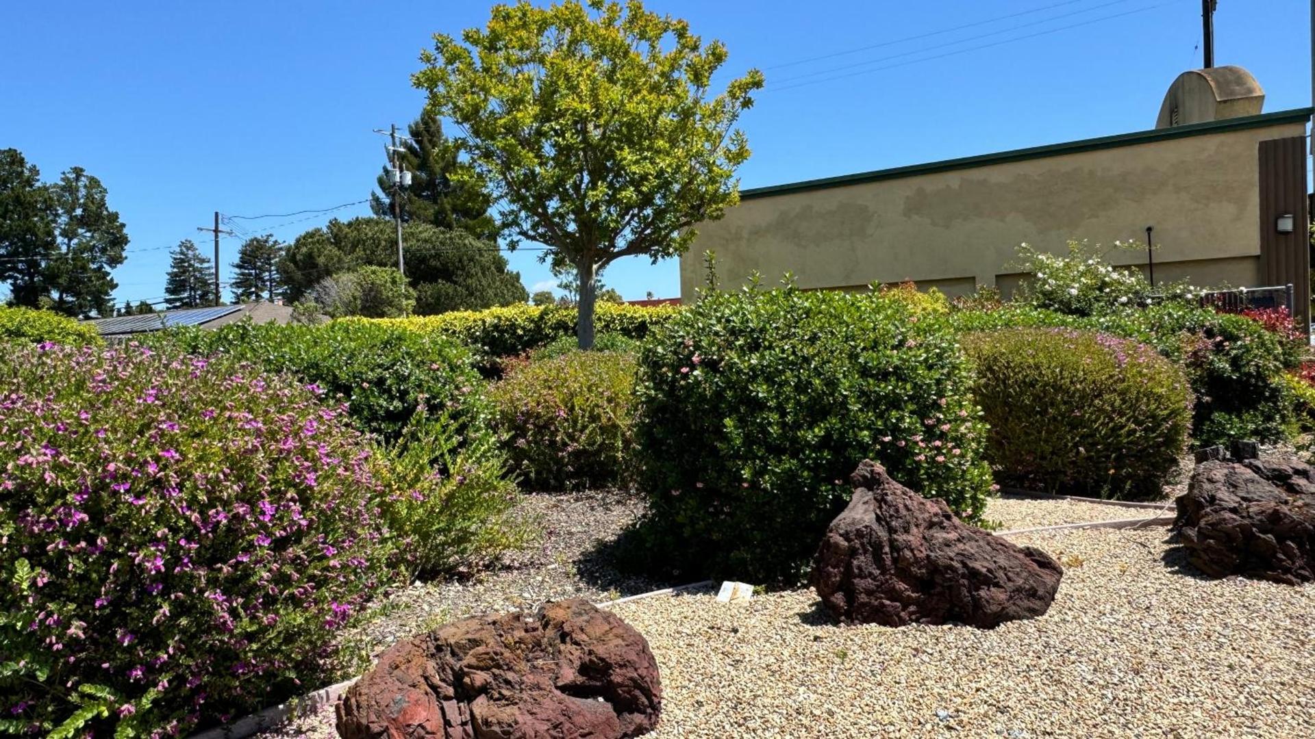 Hitching Post Studios Inn photo 37