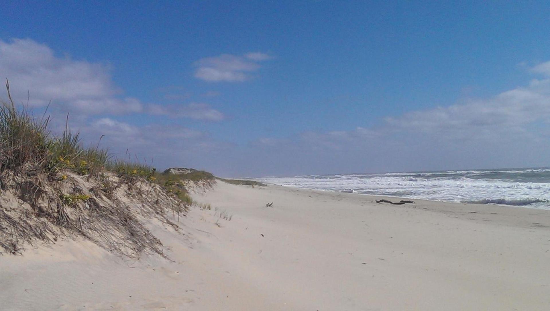 Windward Shores photo 30
