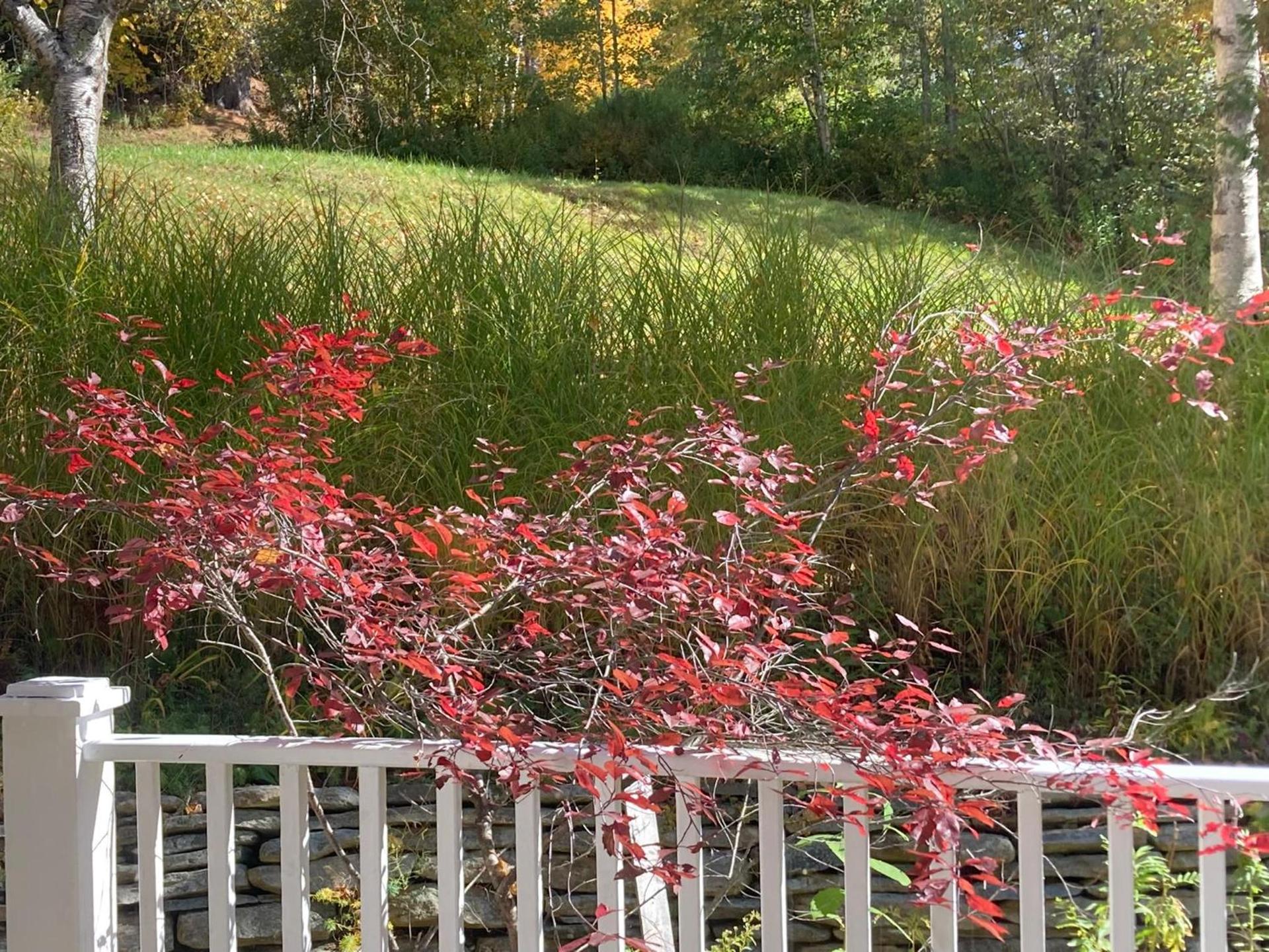 Deerhill Inn photo 54