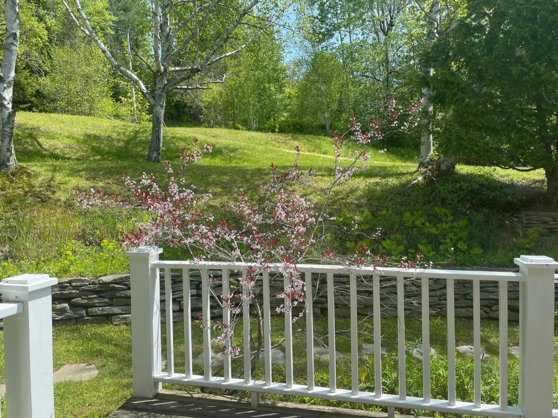 Deerhill Inn photo 56
