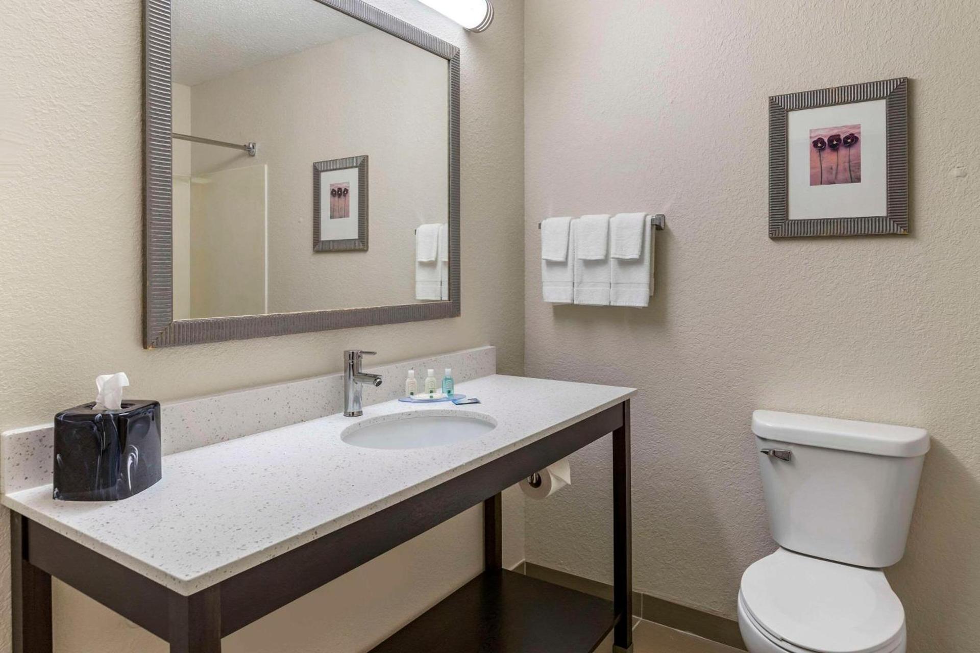 Quality Inn & Suites photo 35