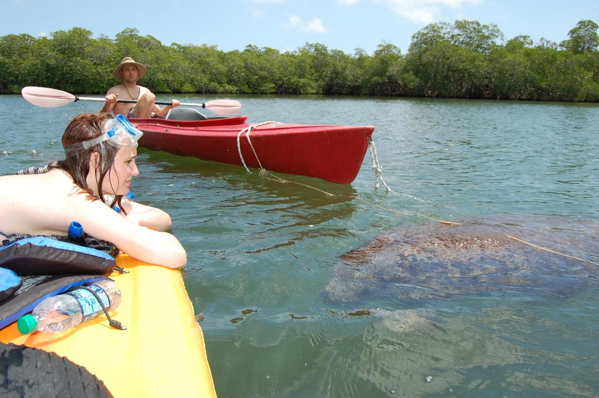 Key Largo Cottages photo 50