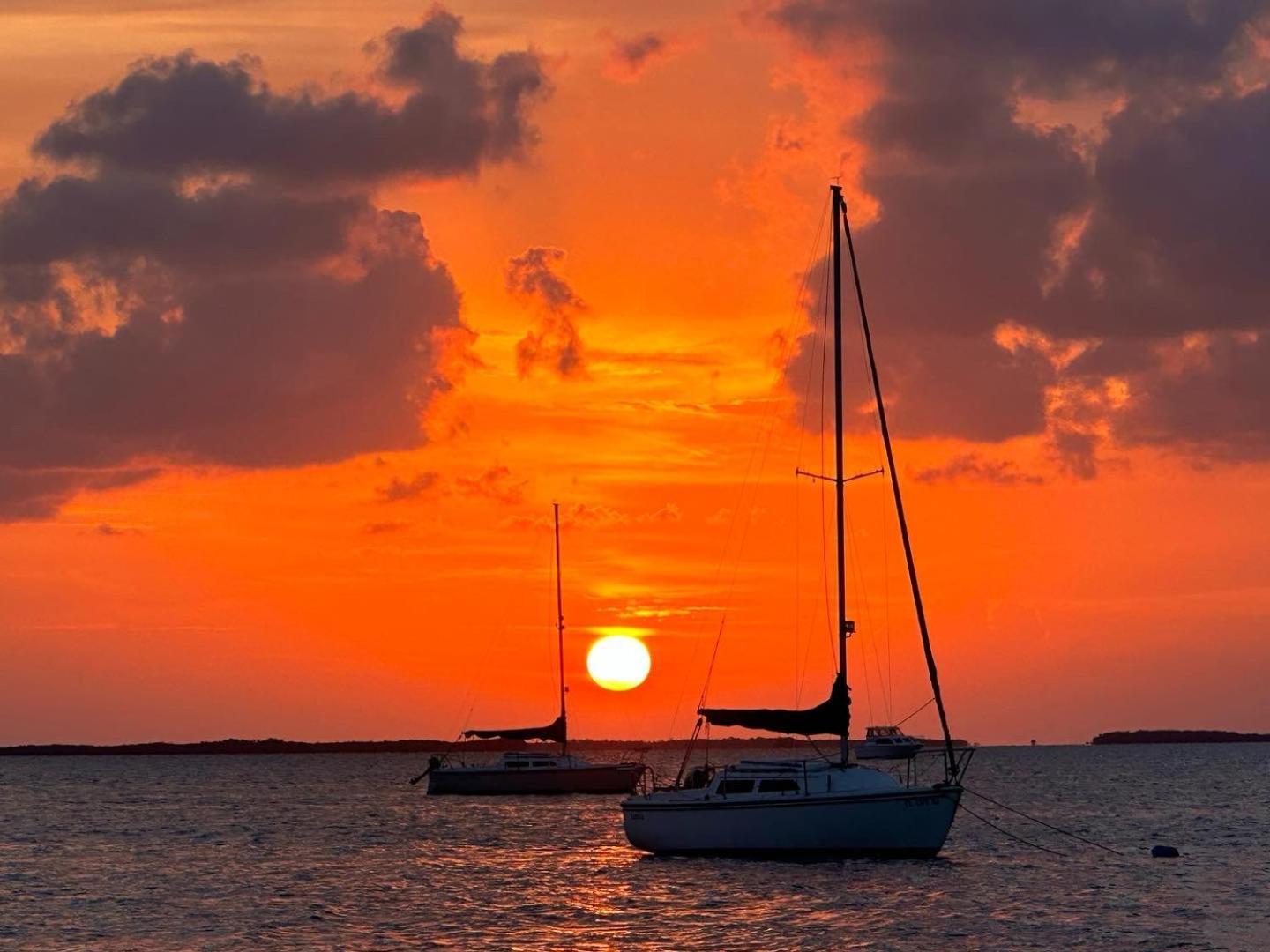 Key Largo Cottages photo 47