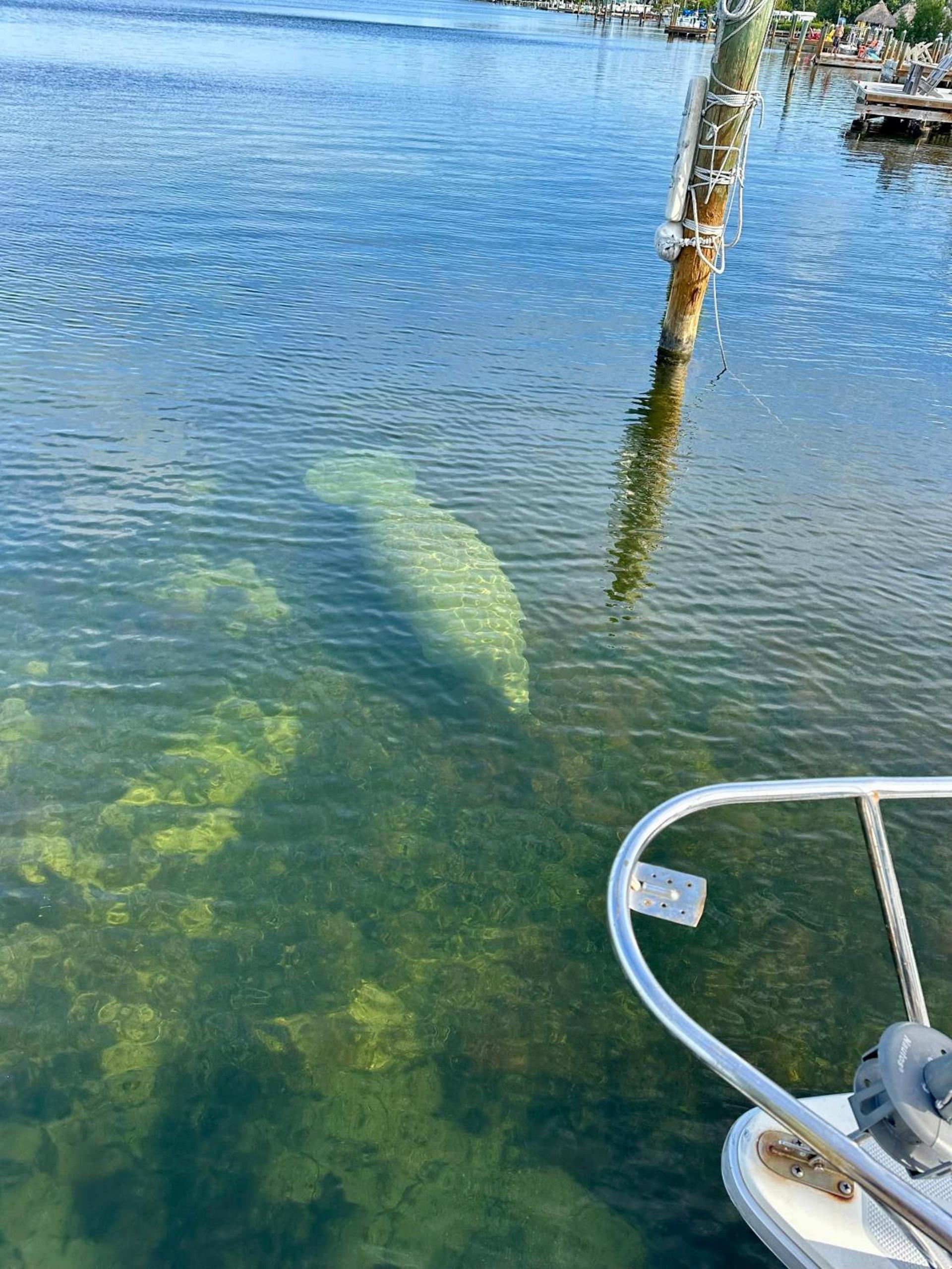 Key Largo Cottages photo 49