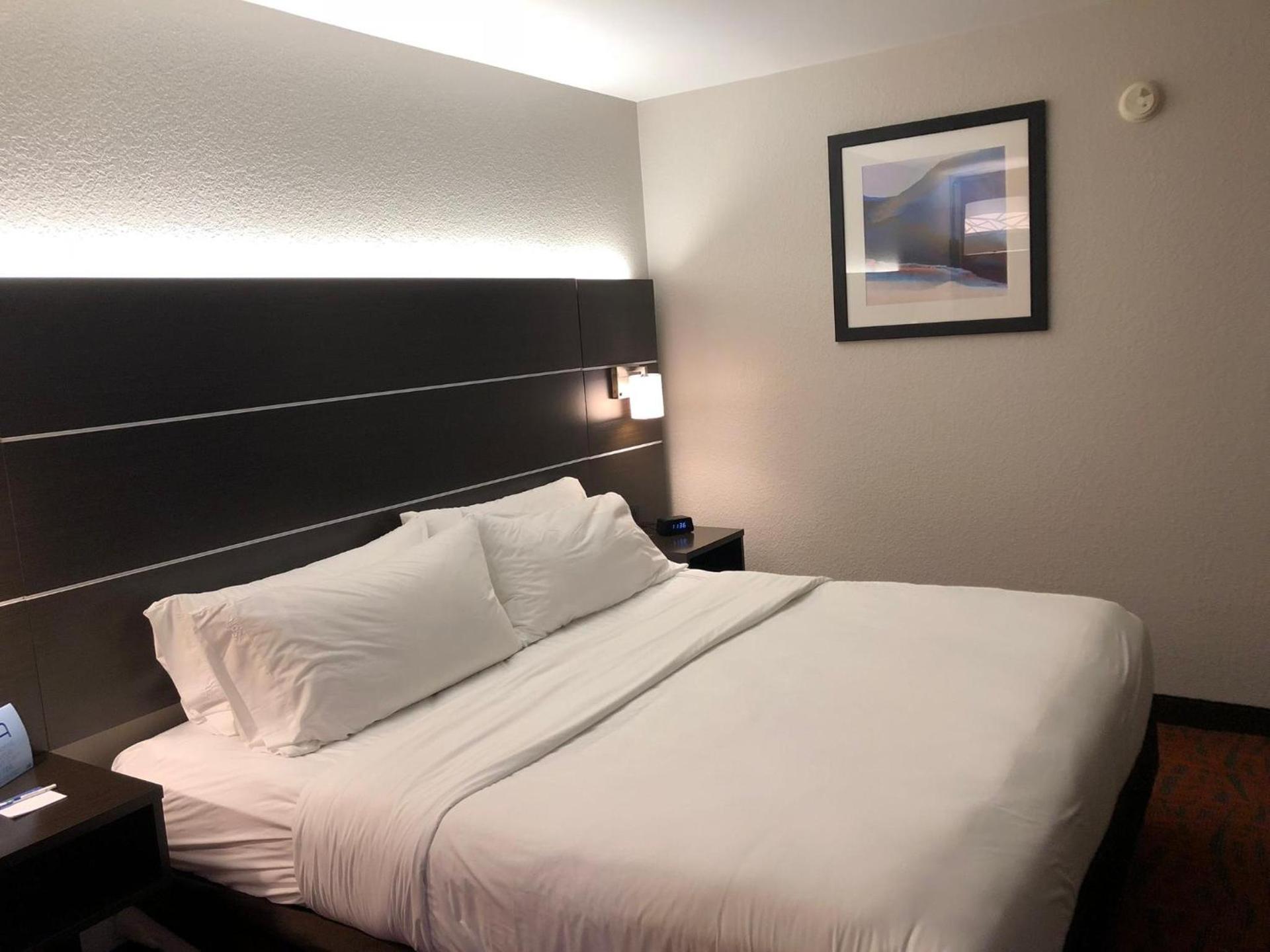 Holiday Inn Express Metropolis by IHG photo 46