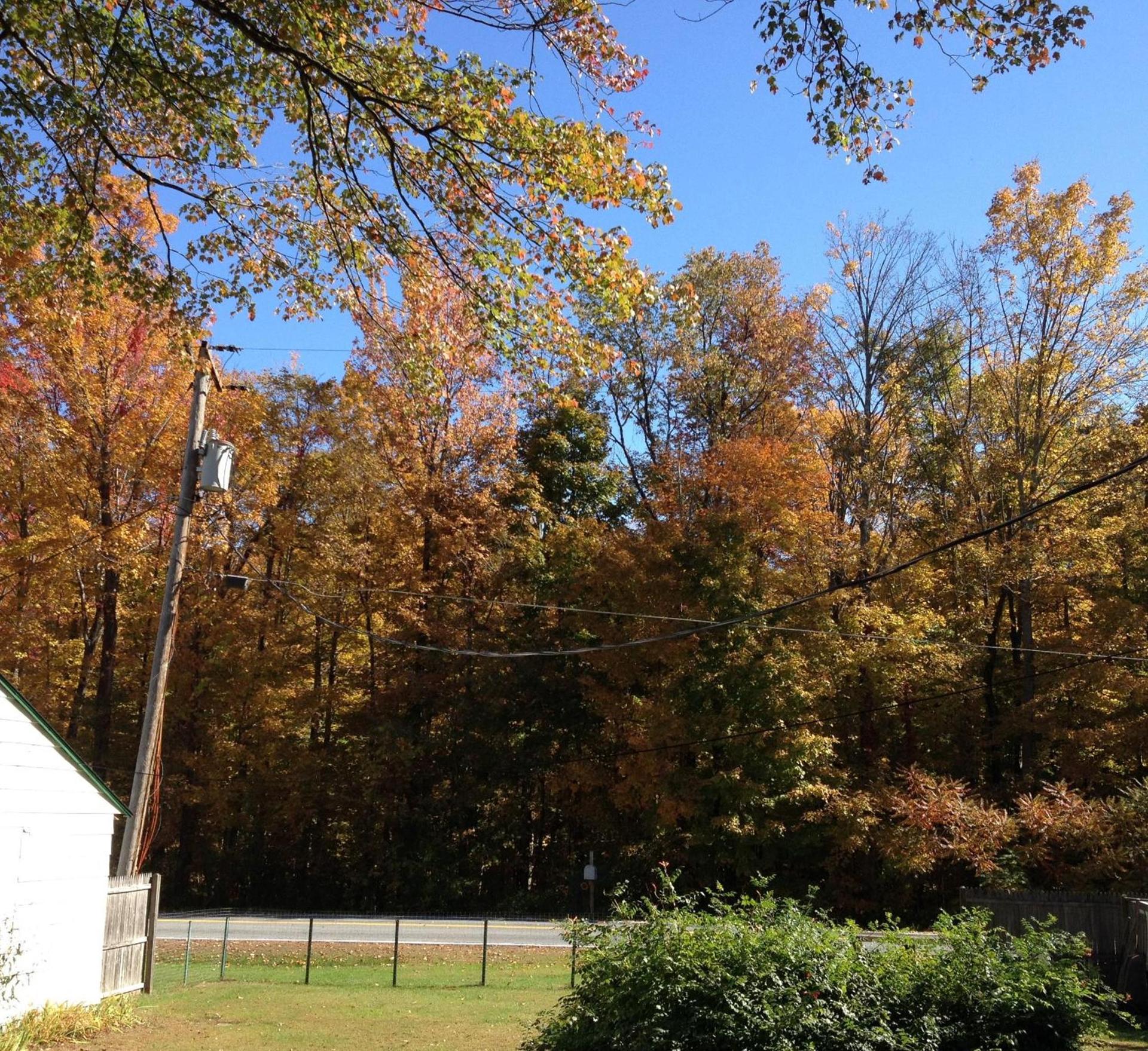 McGregor Inn Motel photo 6