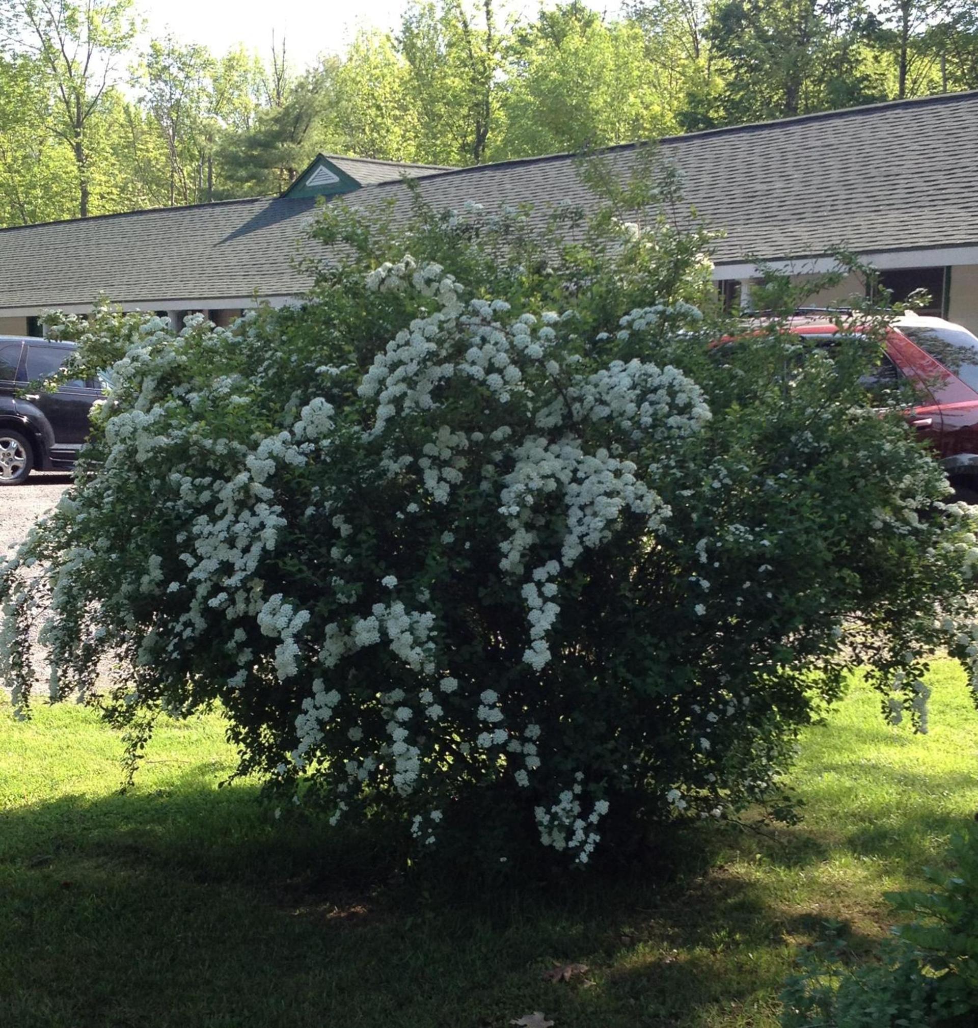 McGregor Inn Motel photo 5