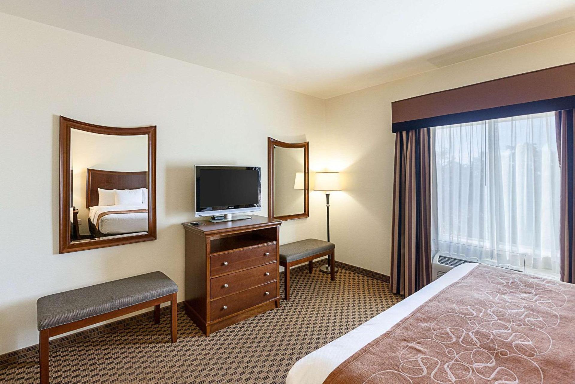Comfort Suites San Antonio North - Stone Oak photo 13