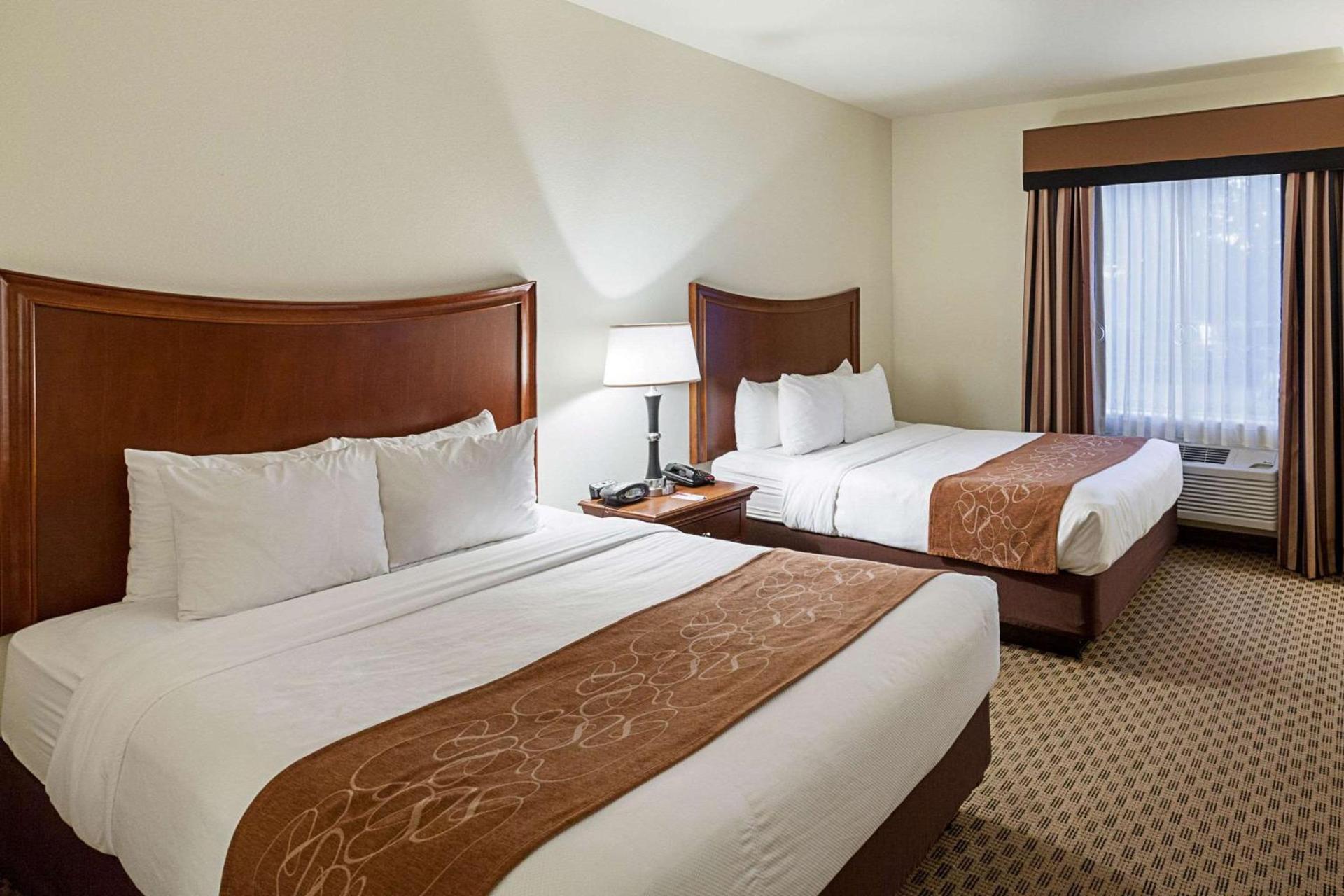 Comfort Suites San Antonio North - Stone Oak photo 18