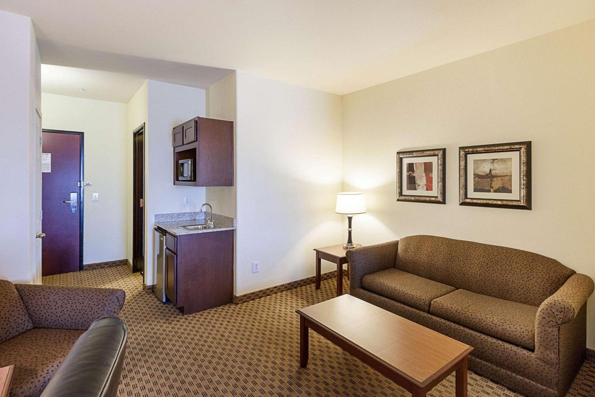 Comfort Suites San Antonio North - Stone Oak photo 23