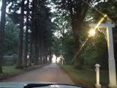 Michillinda Lodge Resort photo 53