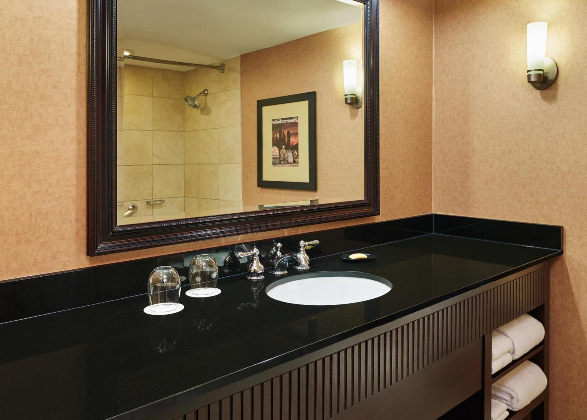 Sheraton Lisle Naperville Hotel photo 8