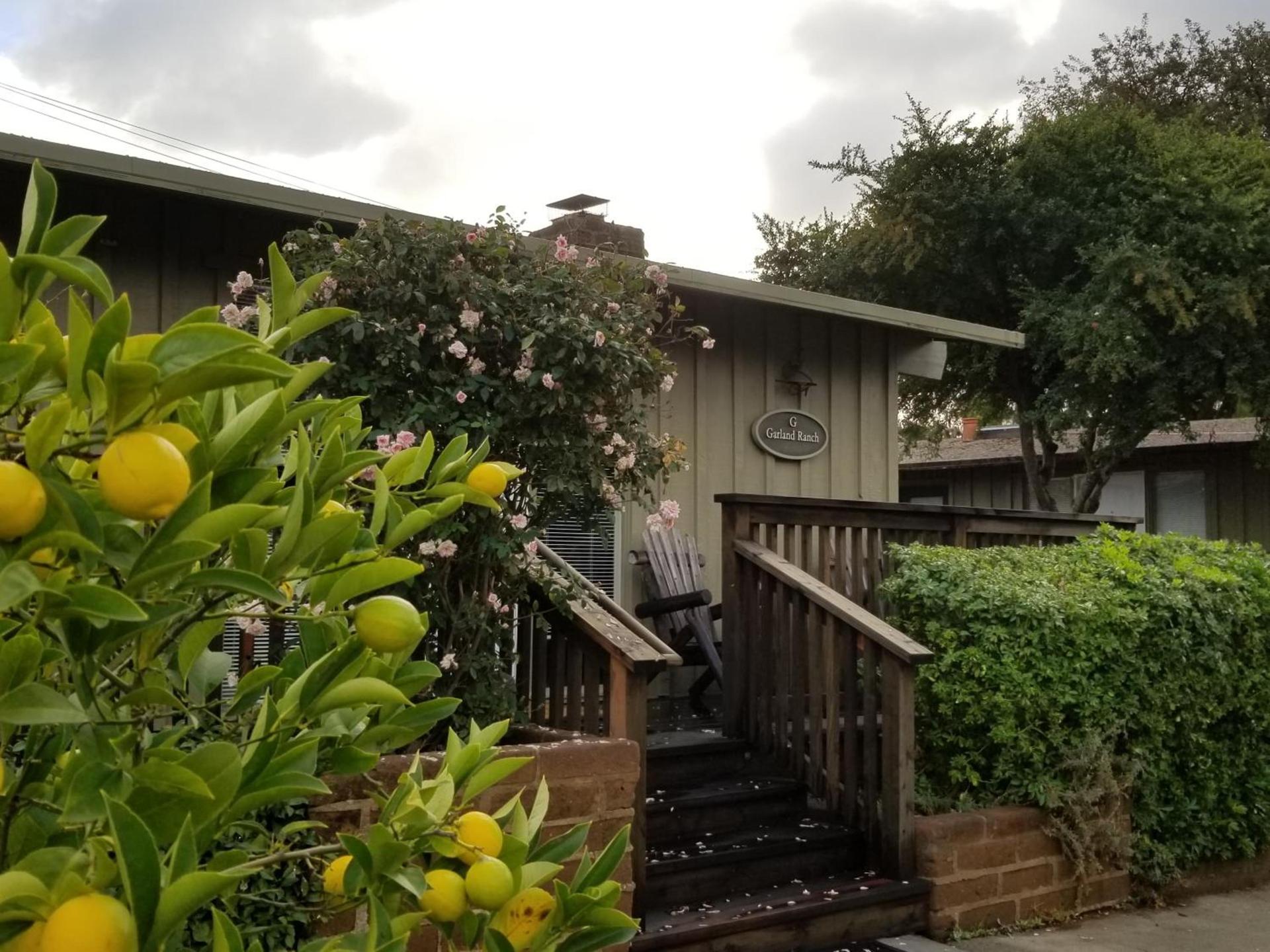 Carmel Valley Lodge — hotel in Carmel Valley