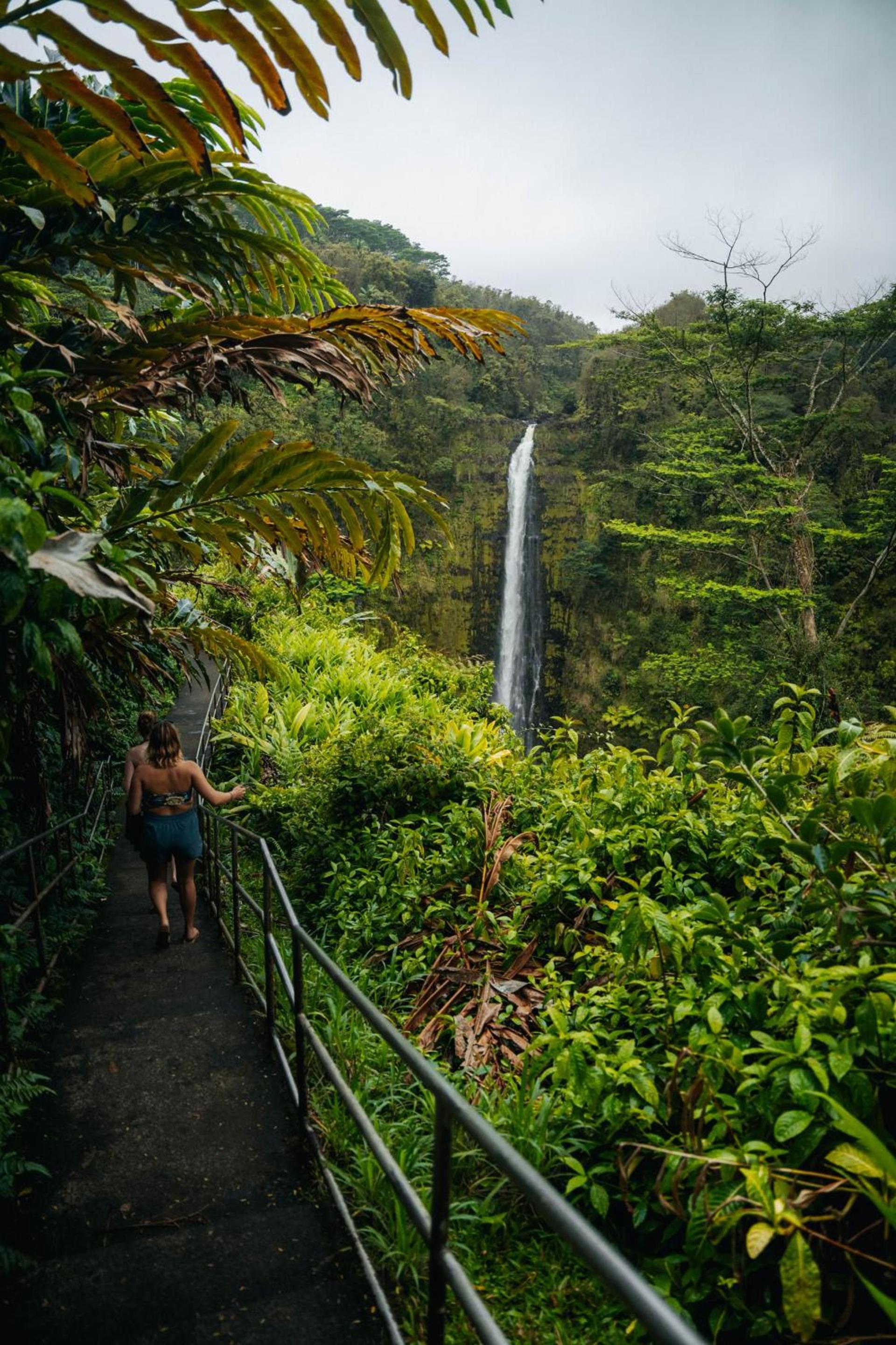 Howzit Hostels Hawaii photo 3