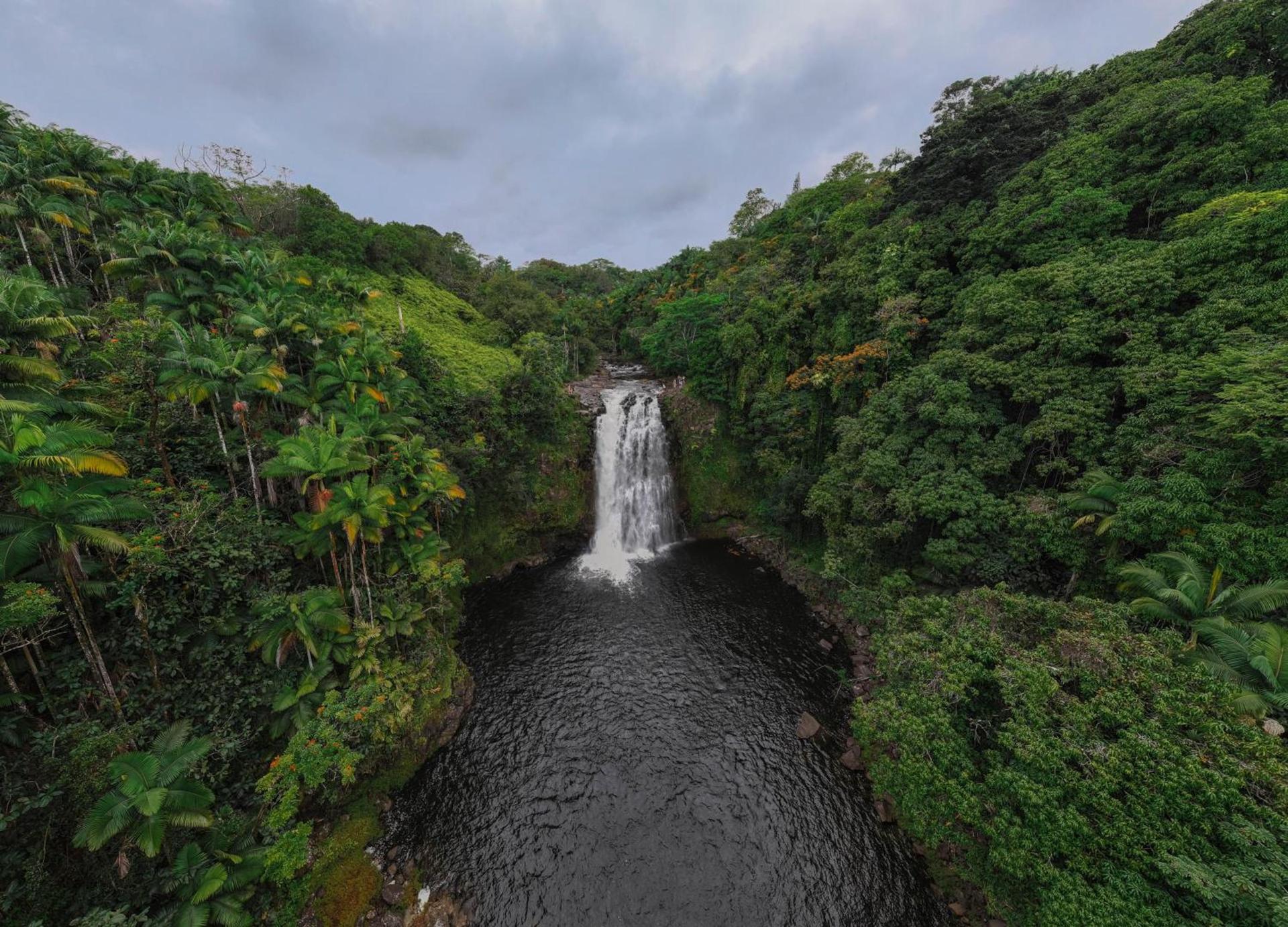 Howzit Hostels Hawaii photo 13