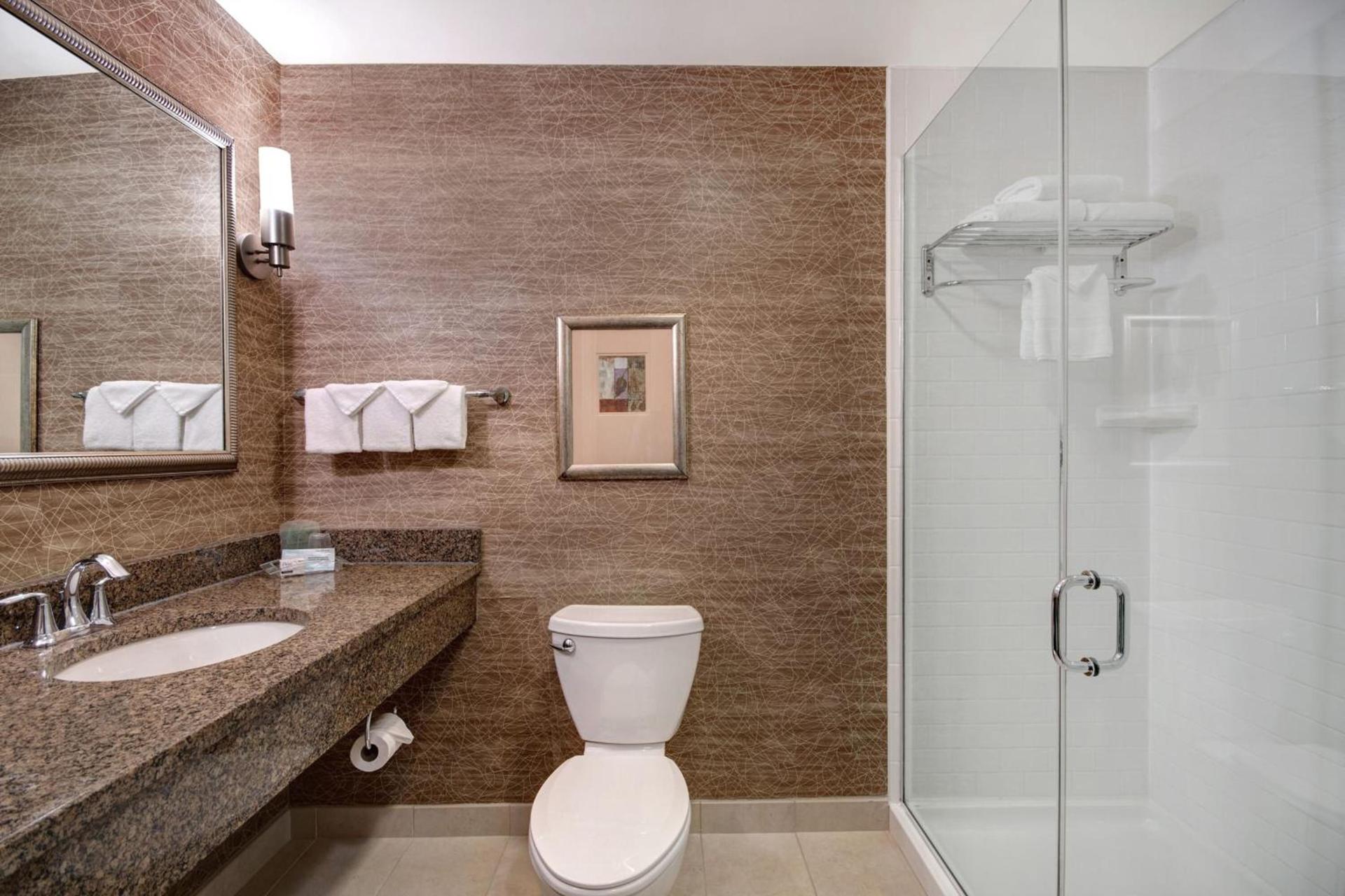 Holiday Inn Detroit Metro Airport by IHG photo 16