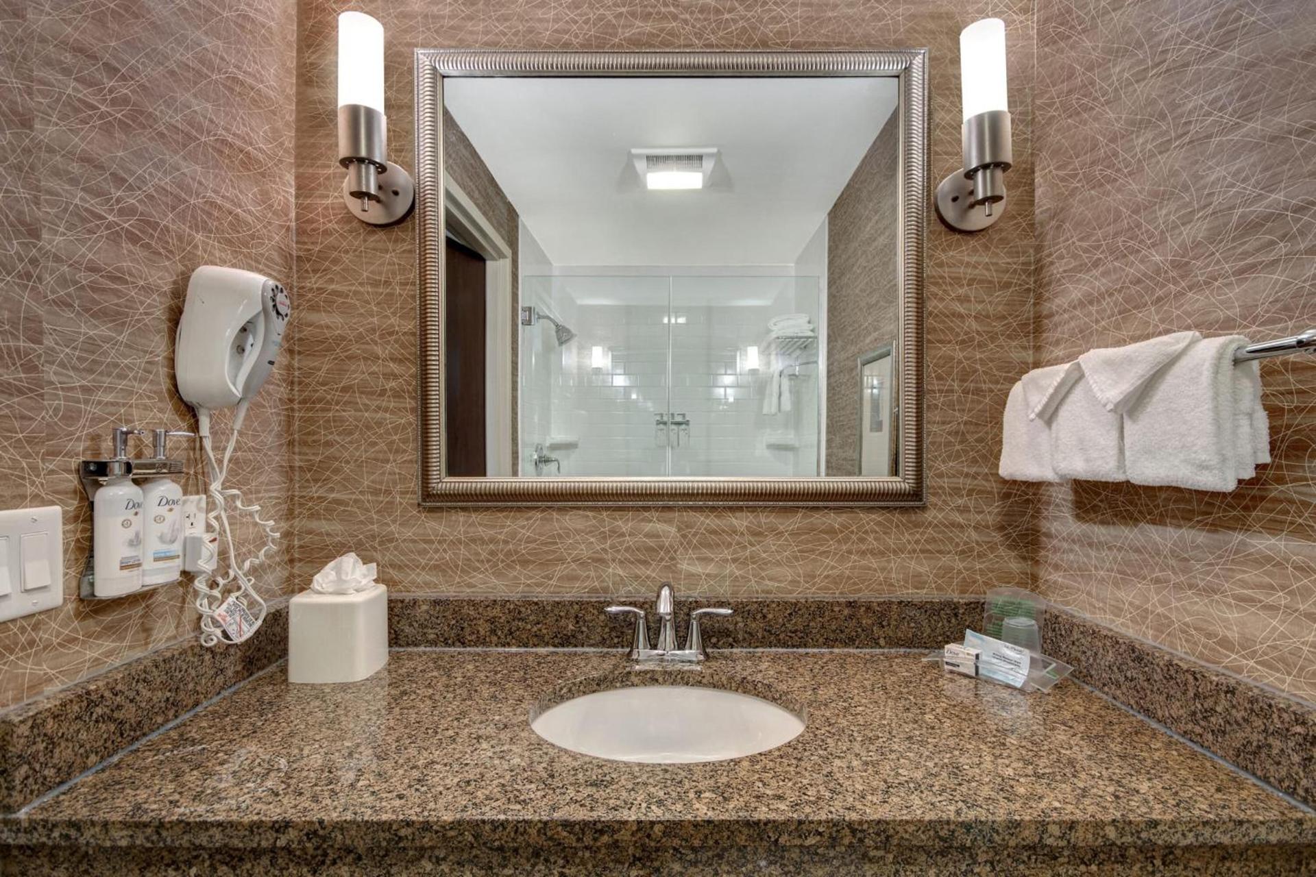 Holiday Inn Detroit Metro Airport by IHG photo 14