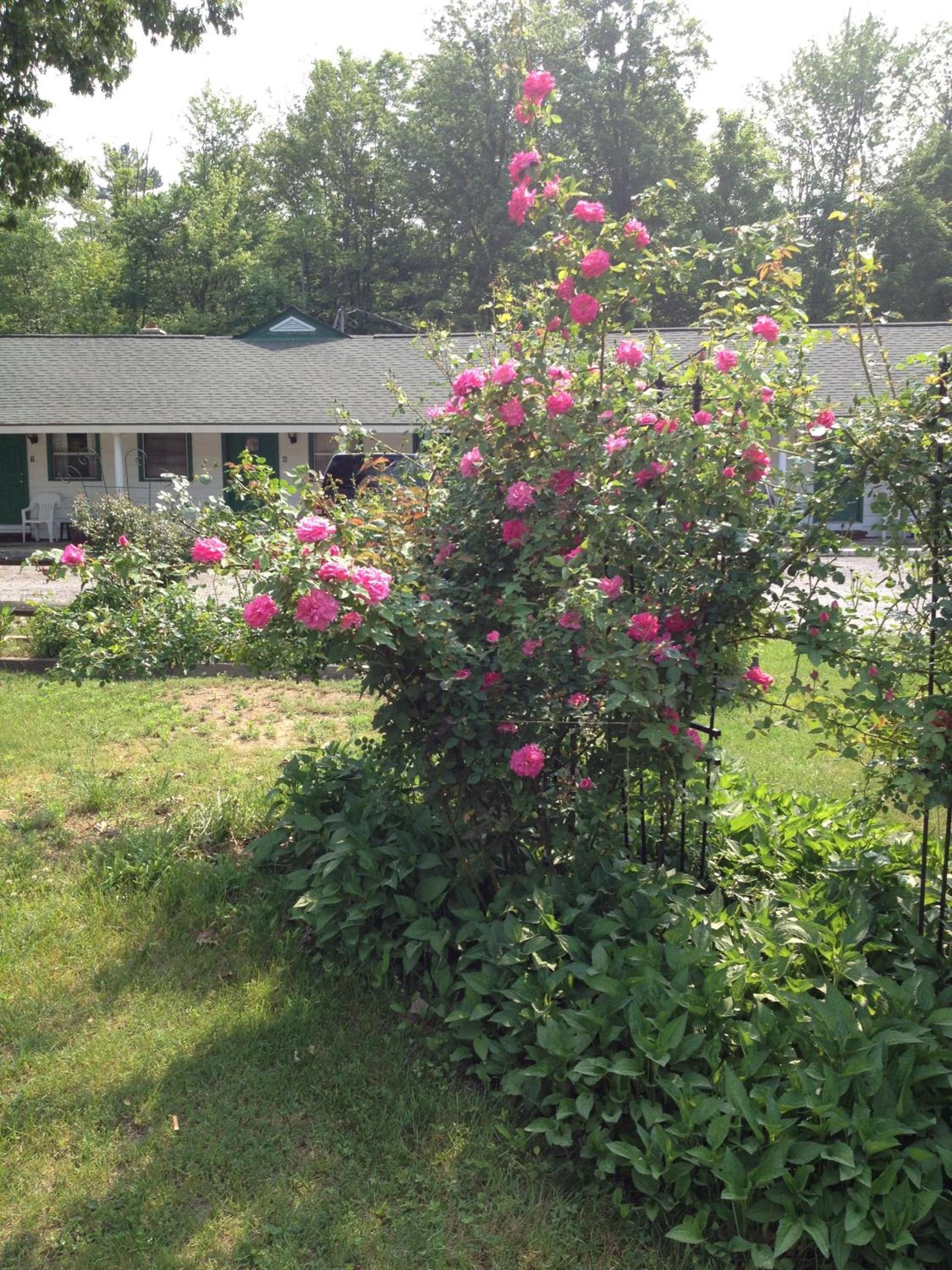 McGregor Inn Motel photo 9
