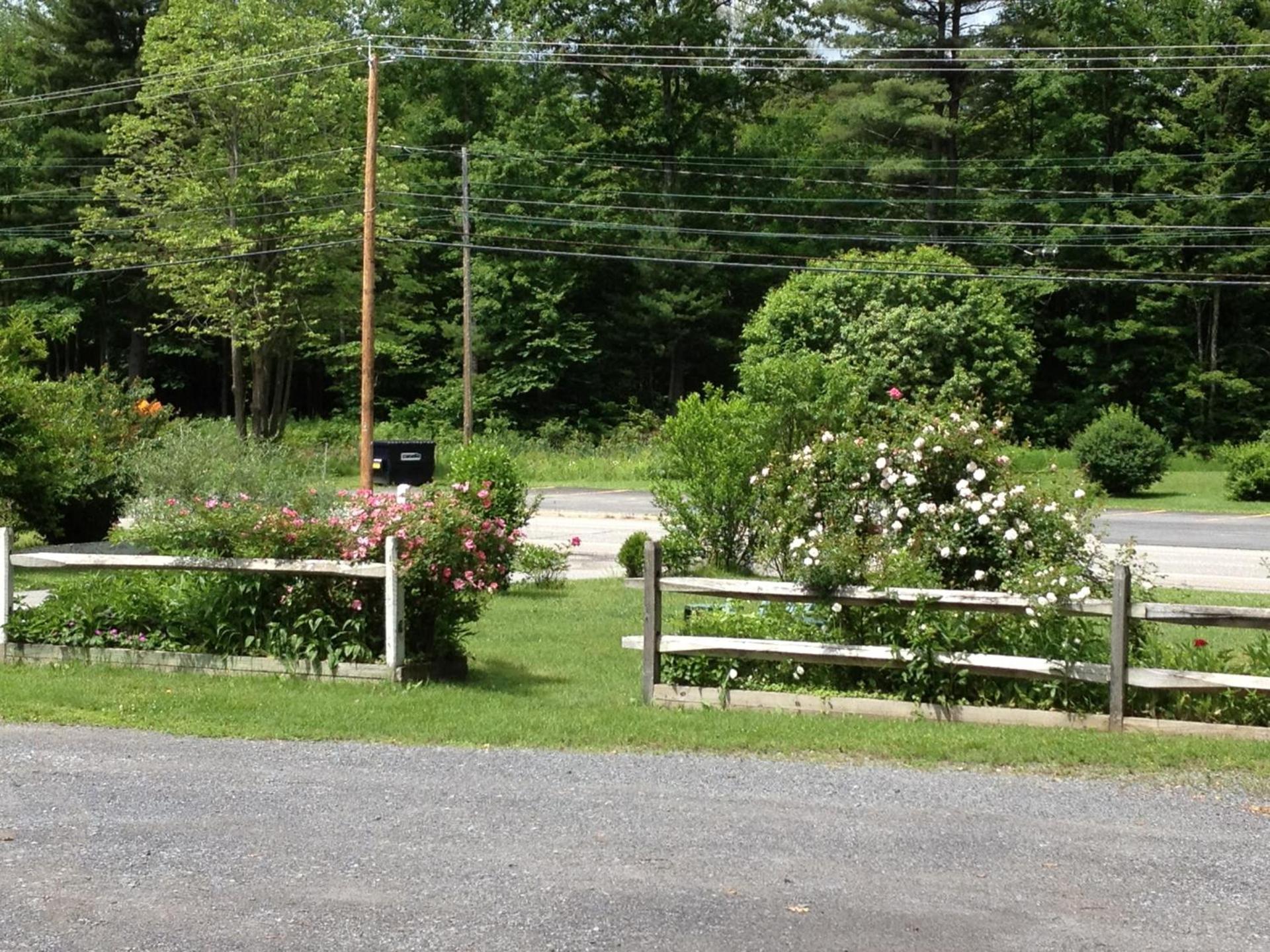 McGregor Inn Motel photo 10