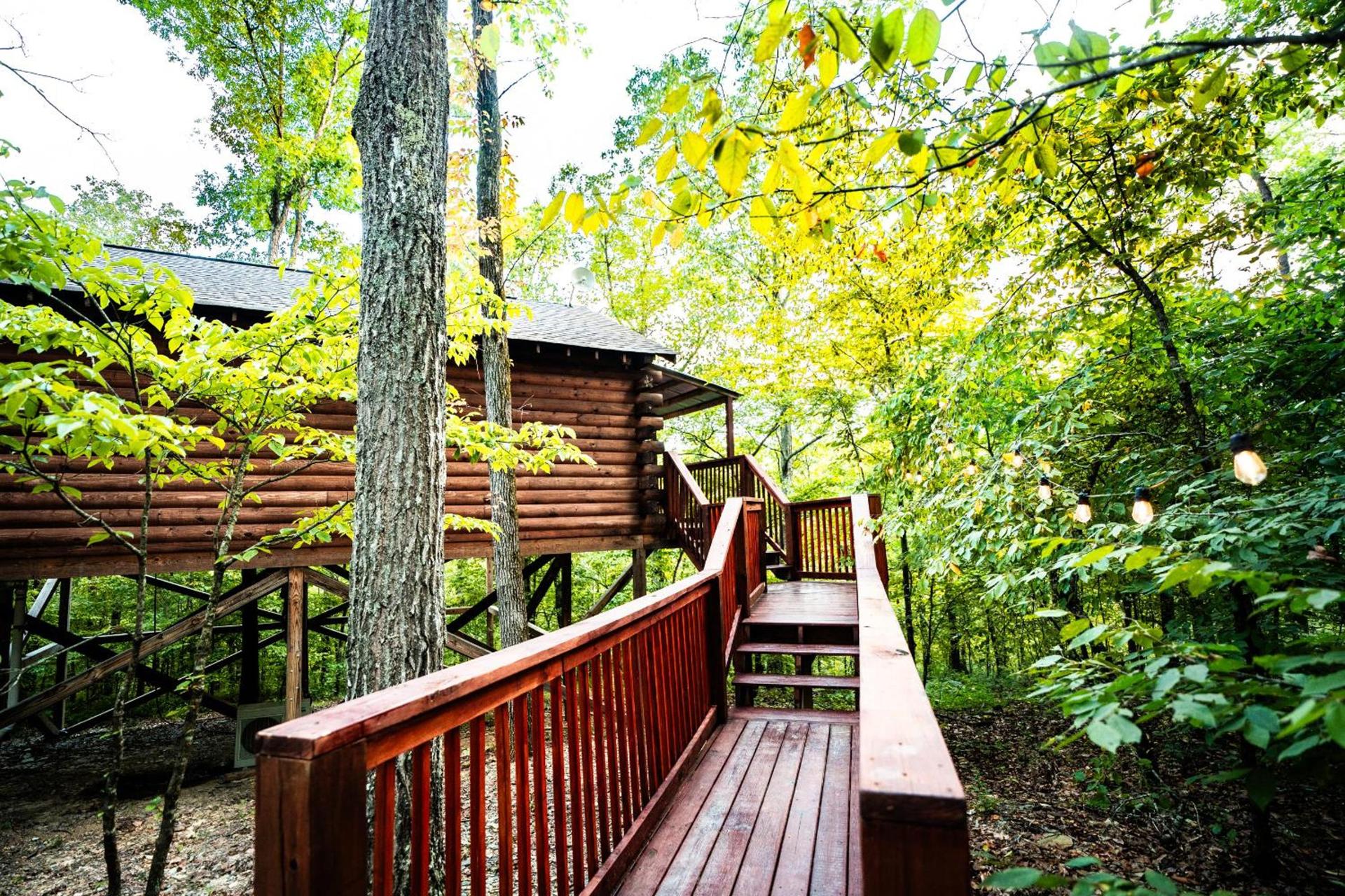 Starlight Haven Hot Springs photo 64