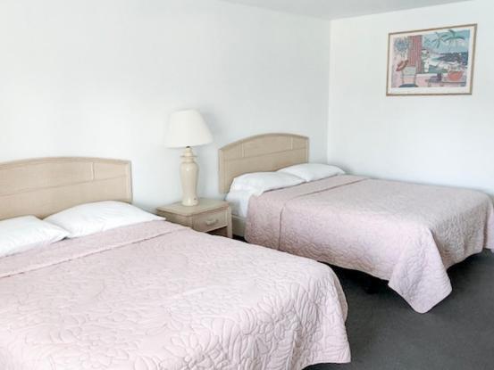 Starlite Motel photo 49