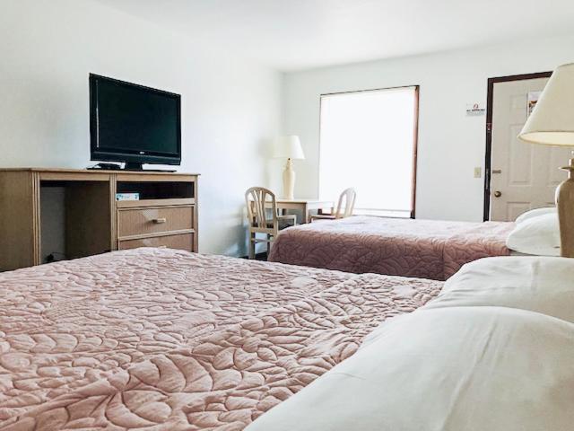 Starlite Motel photo 50