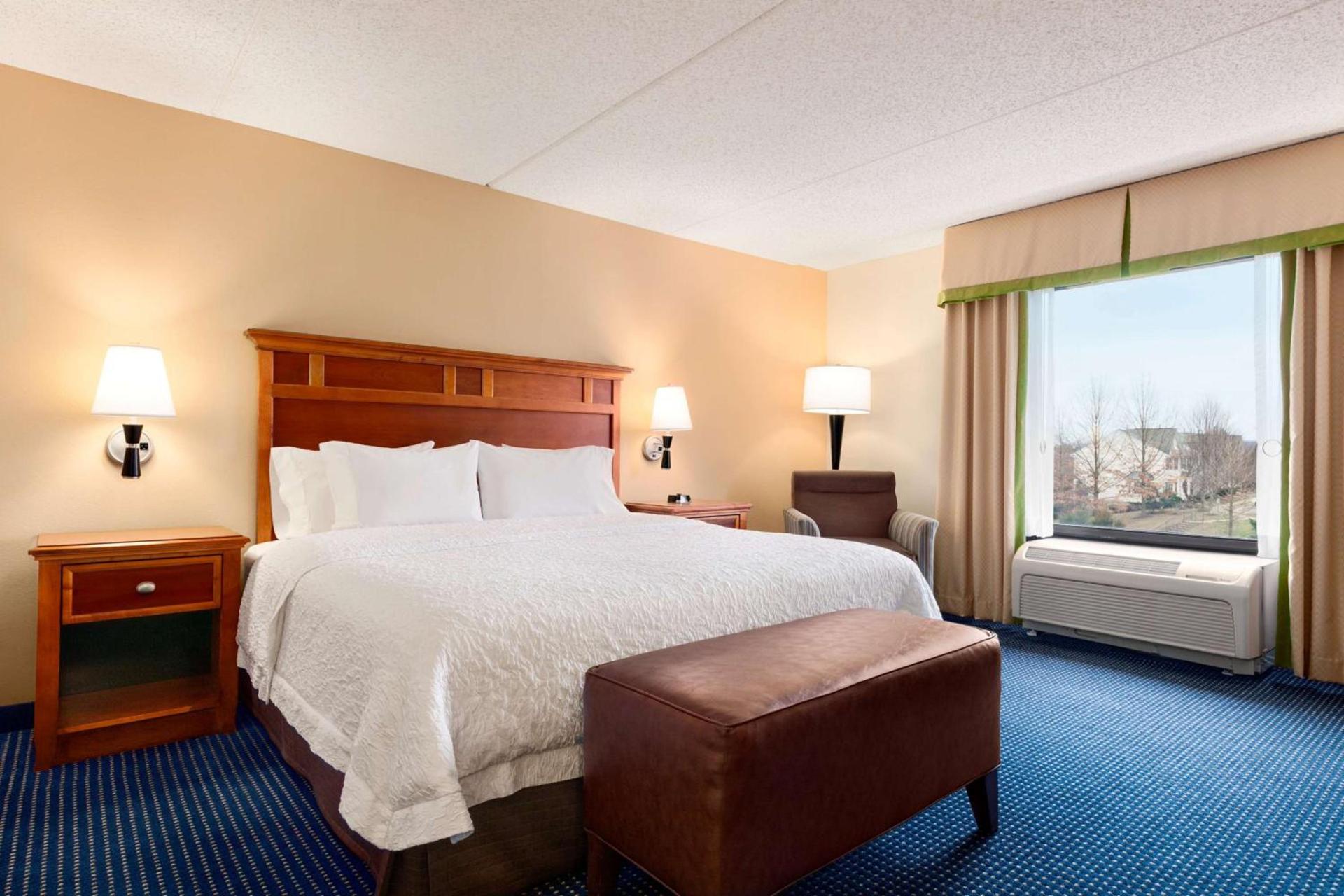 Hampton Inn Warrenton, Va photo 43