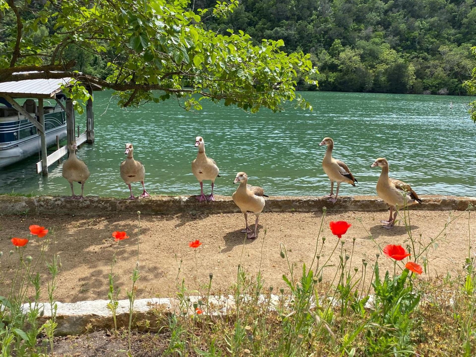 Lake Austin Spa Resort - All Inclusive photo 4