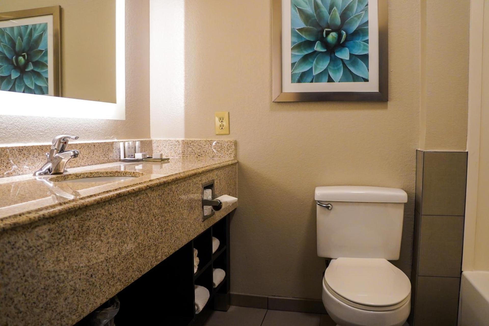 La Quinta by Wyndham Phoenix I-10 West photo 23