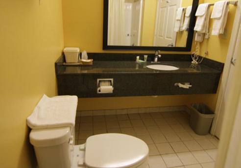 Magnolia Inn and Suites Southaven photo 21