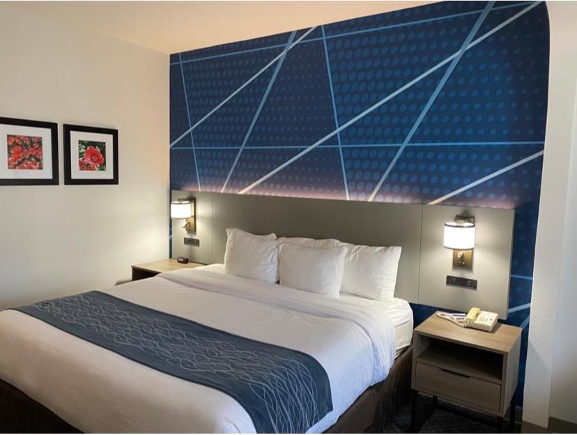Comfort Inn Greenville I-65 photo 11