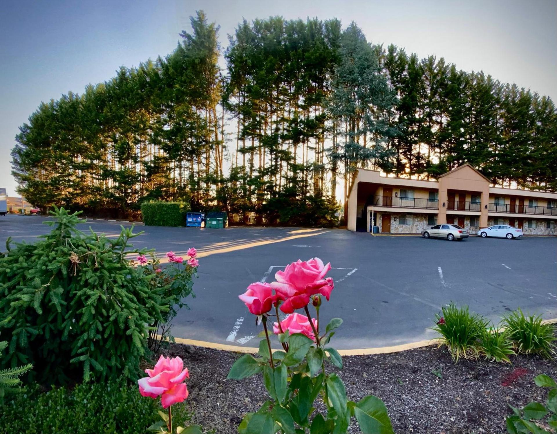 McMinnville Inn photo 3
