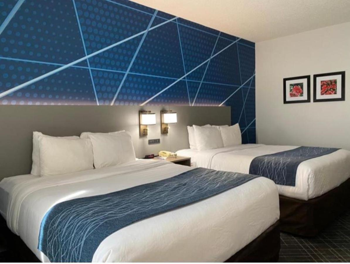 Comfort Inn Greenville I-65 photo 13