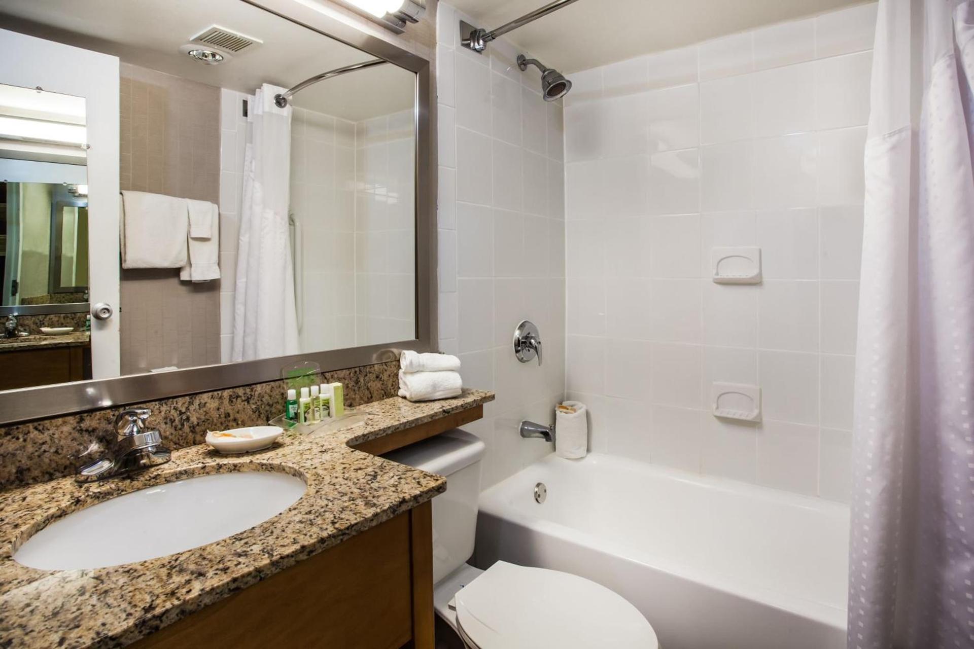 Holiday Inn Saratoga Springs by IHG photo 34