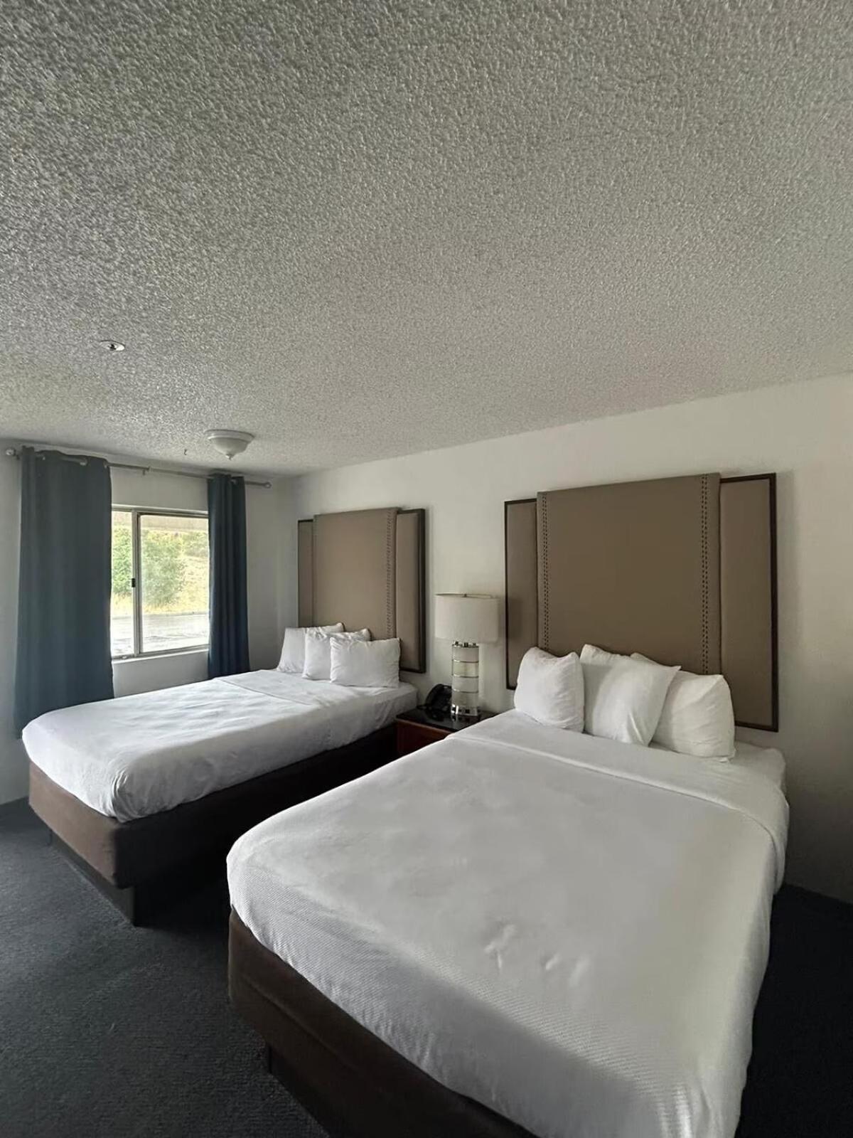 Back Country Inn photo 3