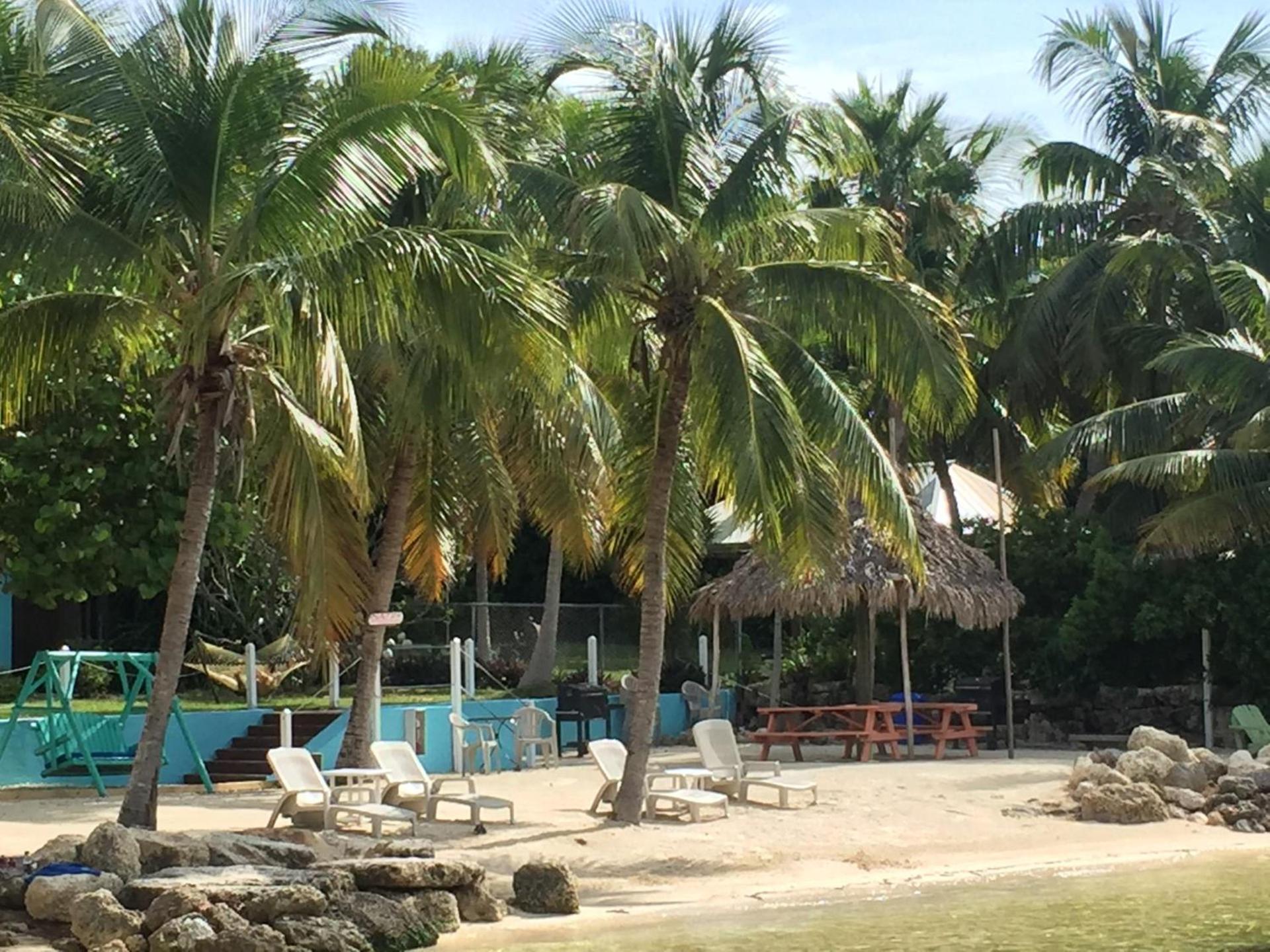 The Pelican Key Largo Cottages photo 79