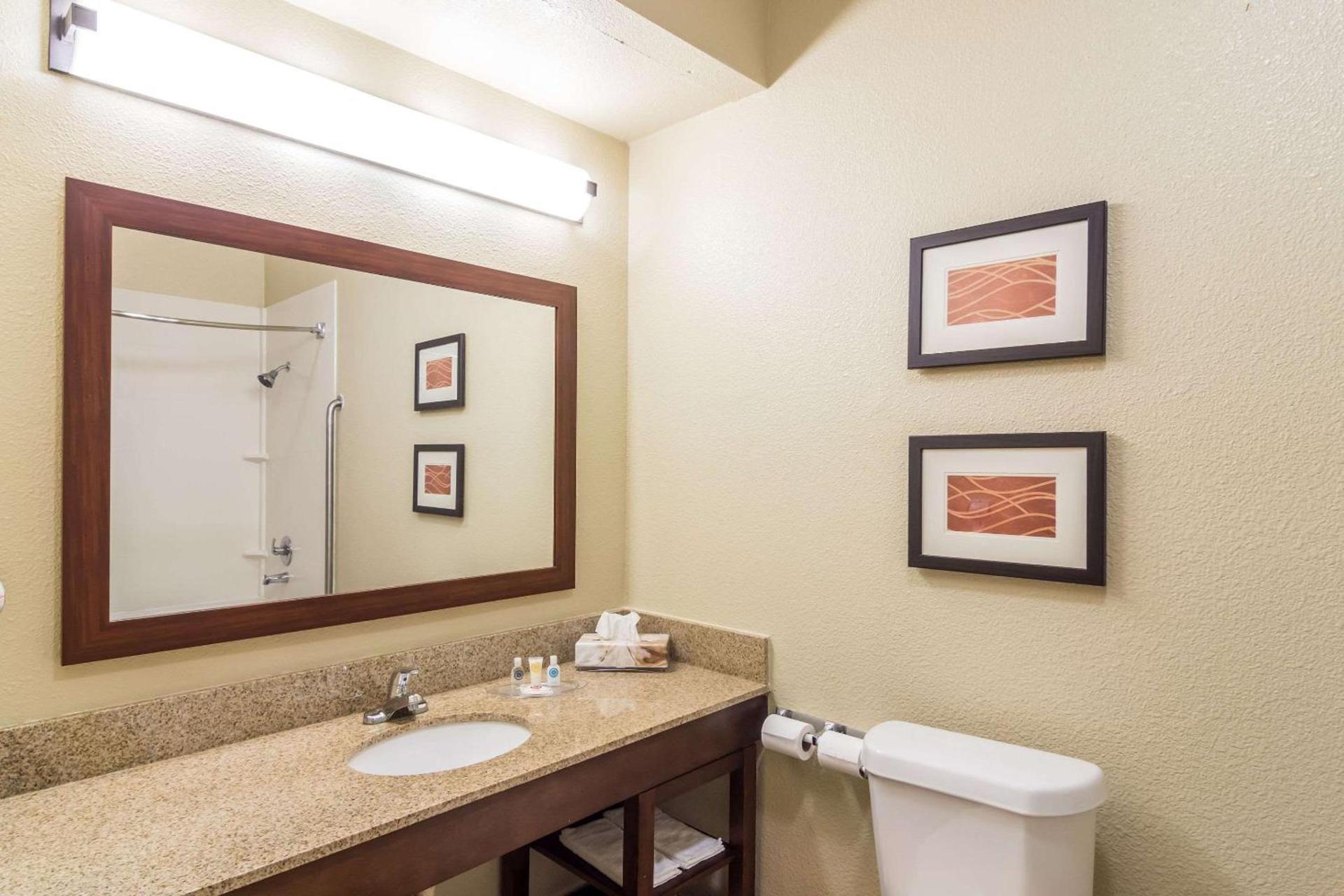 Comfort Suites Eufaula North photo 43