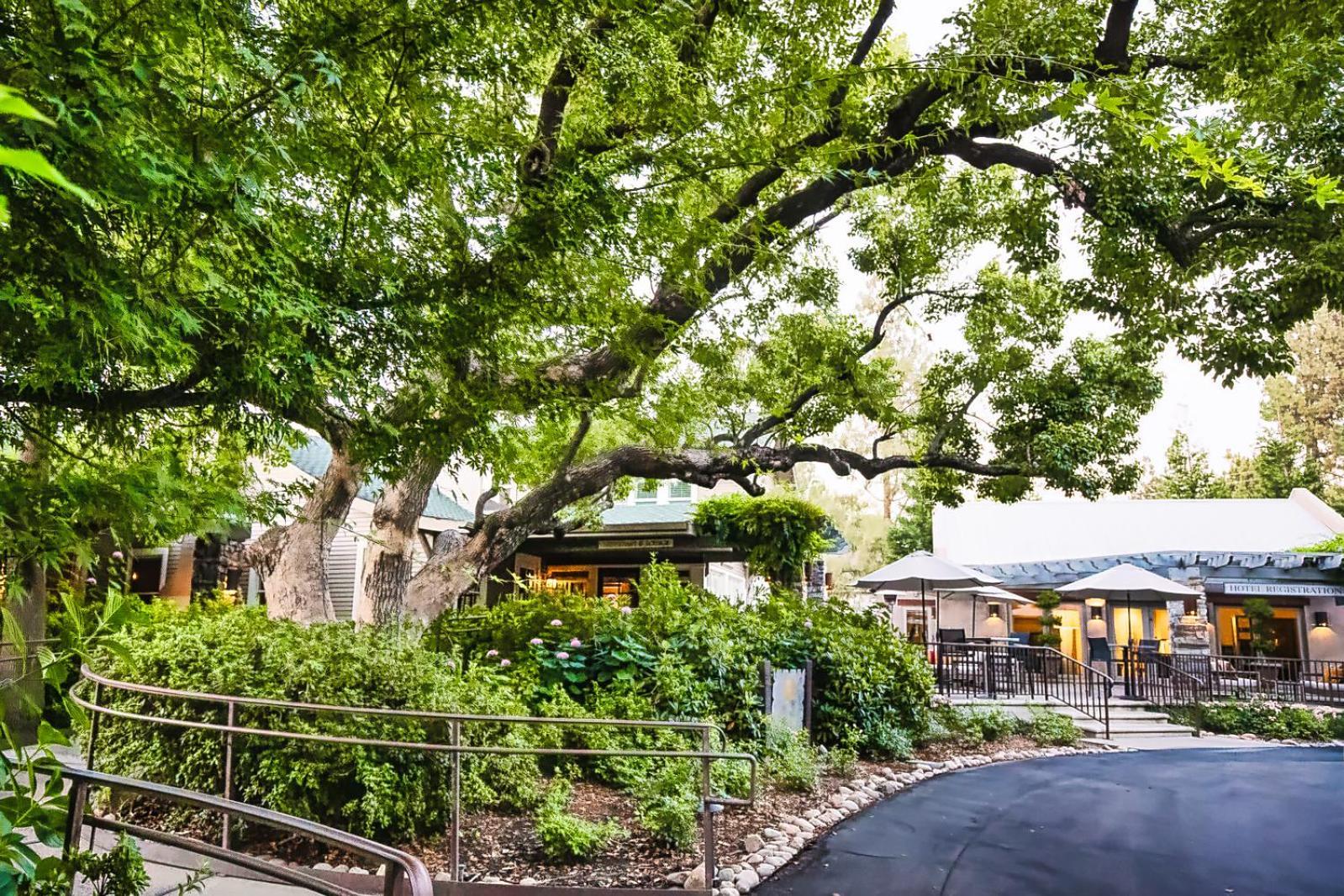 Appellation Lodi - Wine & Roses Resort and Spa photo 11
