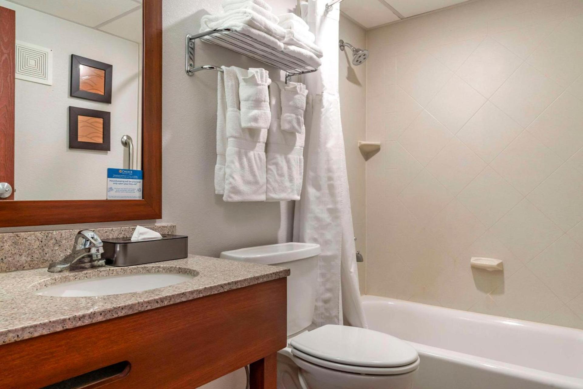 Comfort Inn University photo 34
