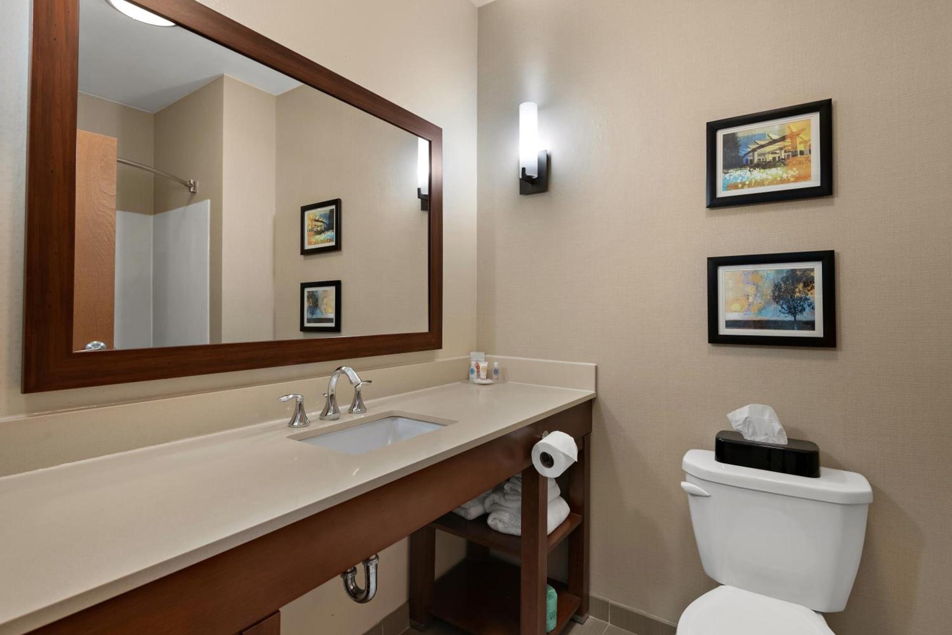 Comfort Suites Hummelstown - Hershey photo 33