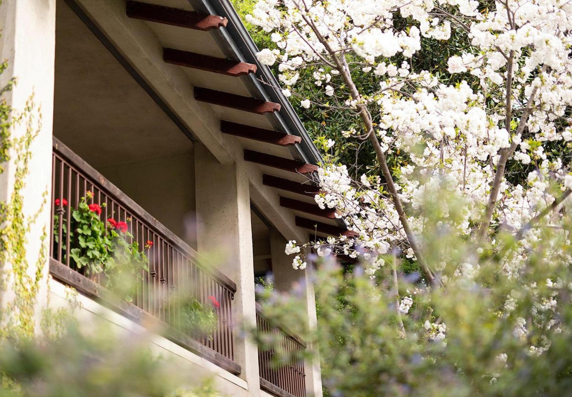 Appellation Lodi - Wine & Roses Resort and Spa photo 58