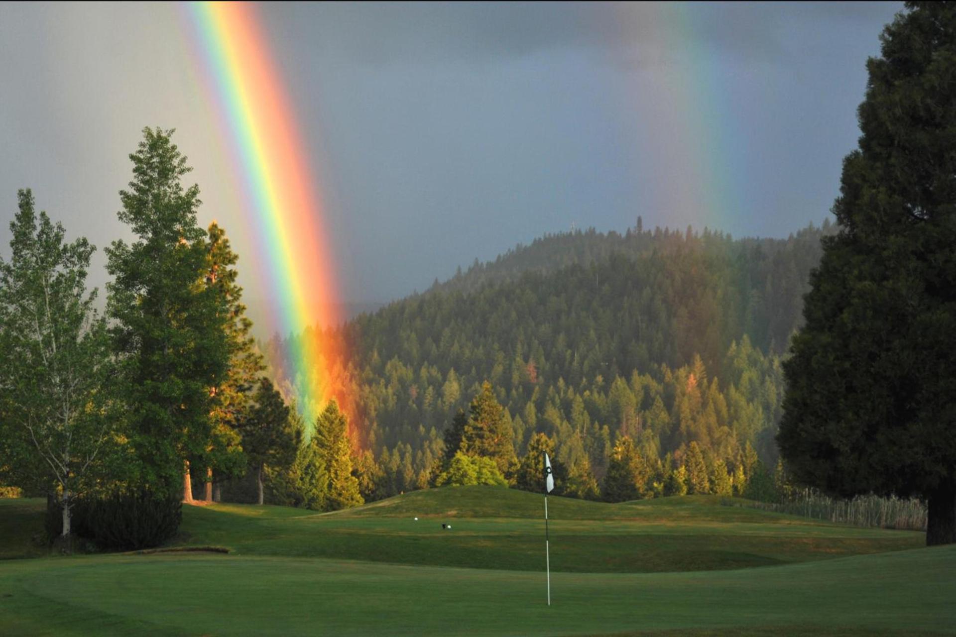 Mount Shasta Resort photo 85