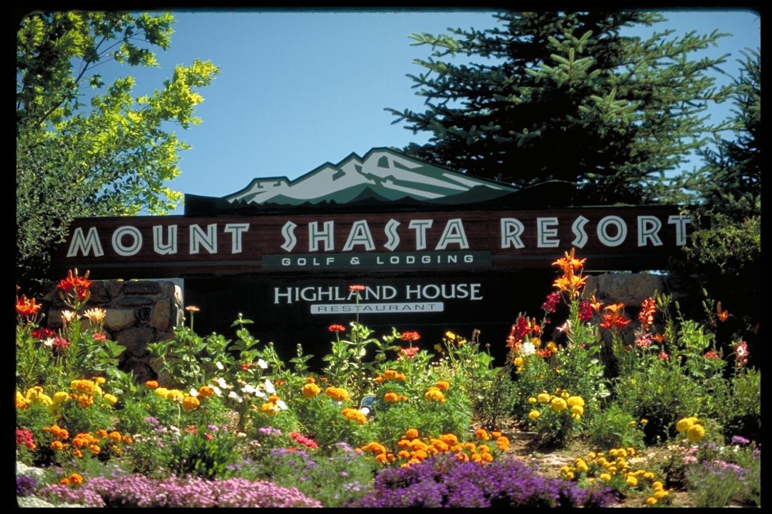 Mount Shasta Resort photo 87