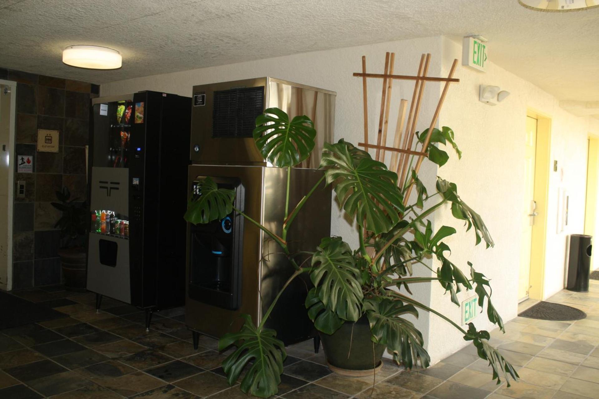 Airport Inn photo 53
