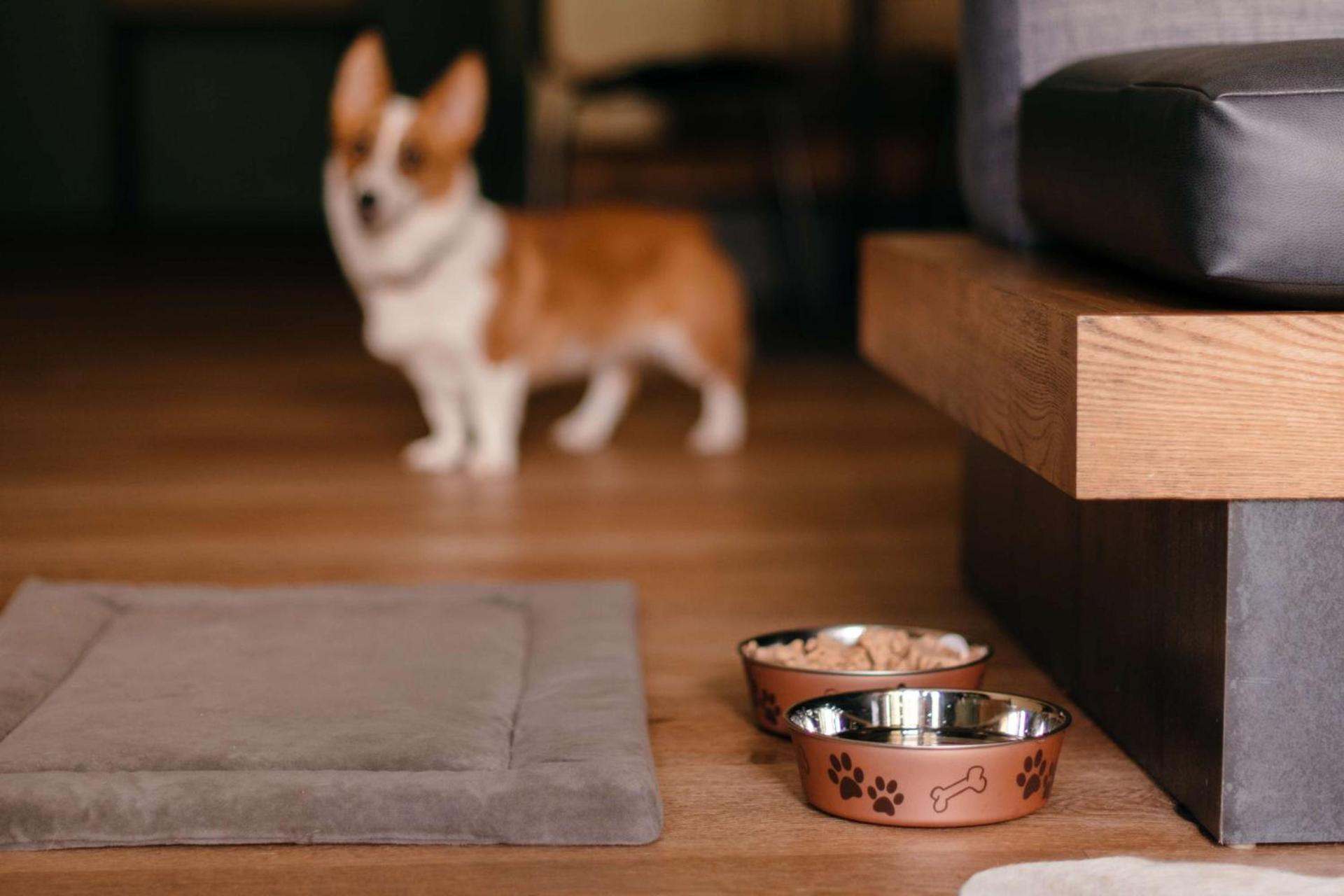 Hyatt Regency Lost Pines Resort and Spa photo 45