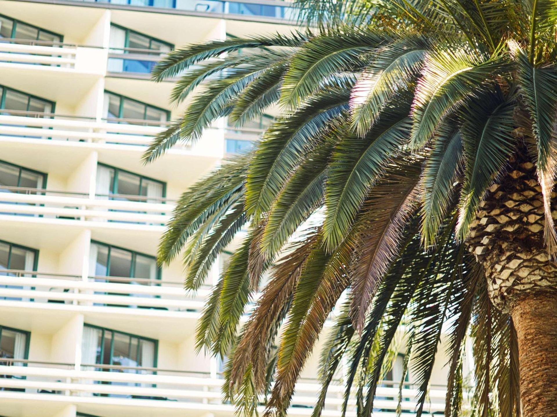 Fairmont Miramar Hotel & Bungalows photo 12